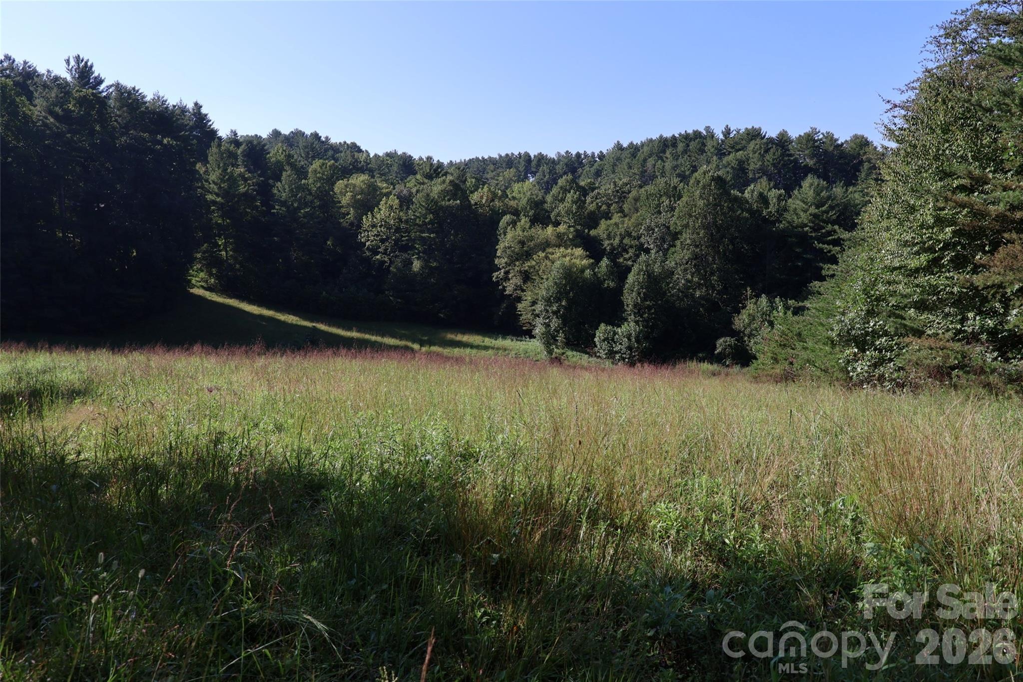 99999 Dream Valley Drive Property Photo 6