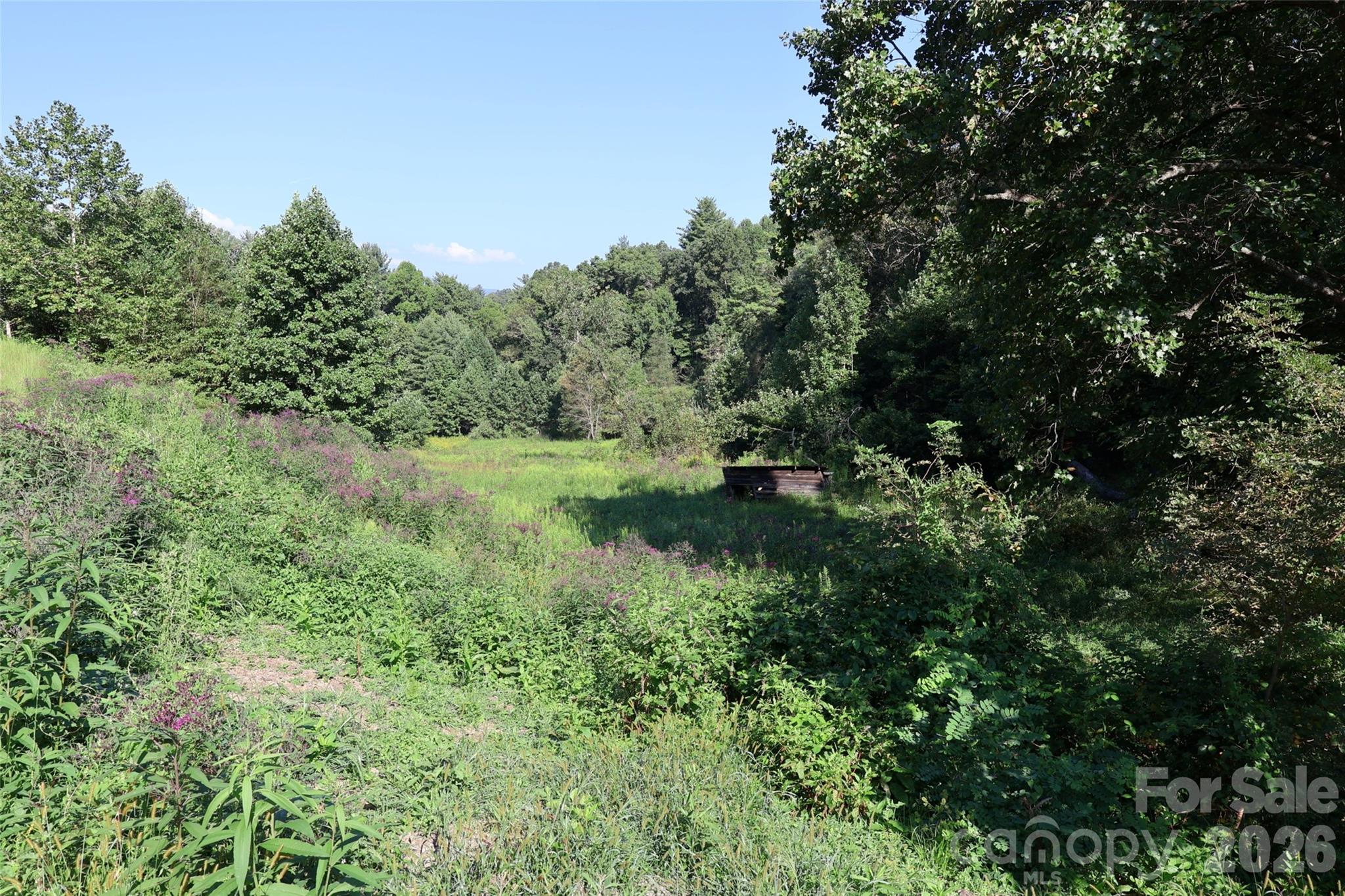 99999 Dream Valley Drive Property Photo 7