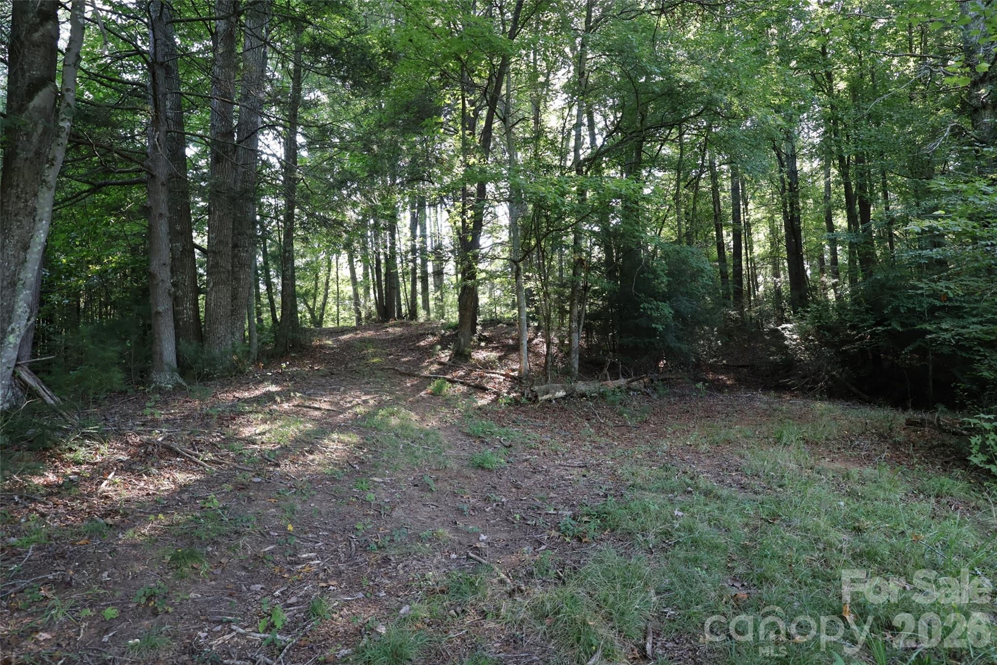 99999 Dream Valley Drive Property Photo 8