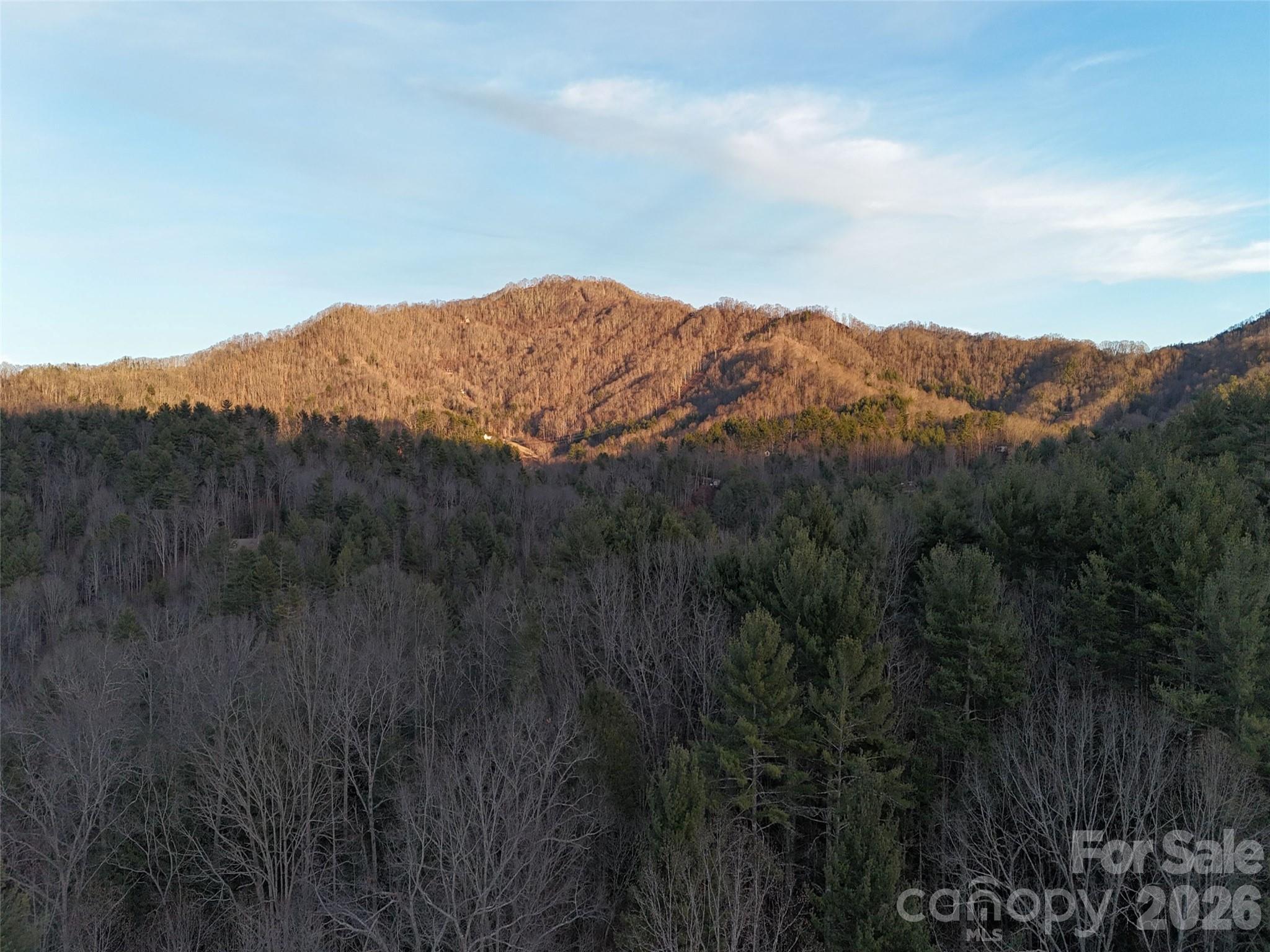 99999 Dream Valley Drive Property Photo 10