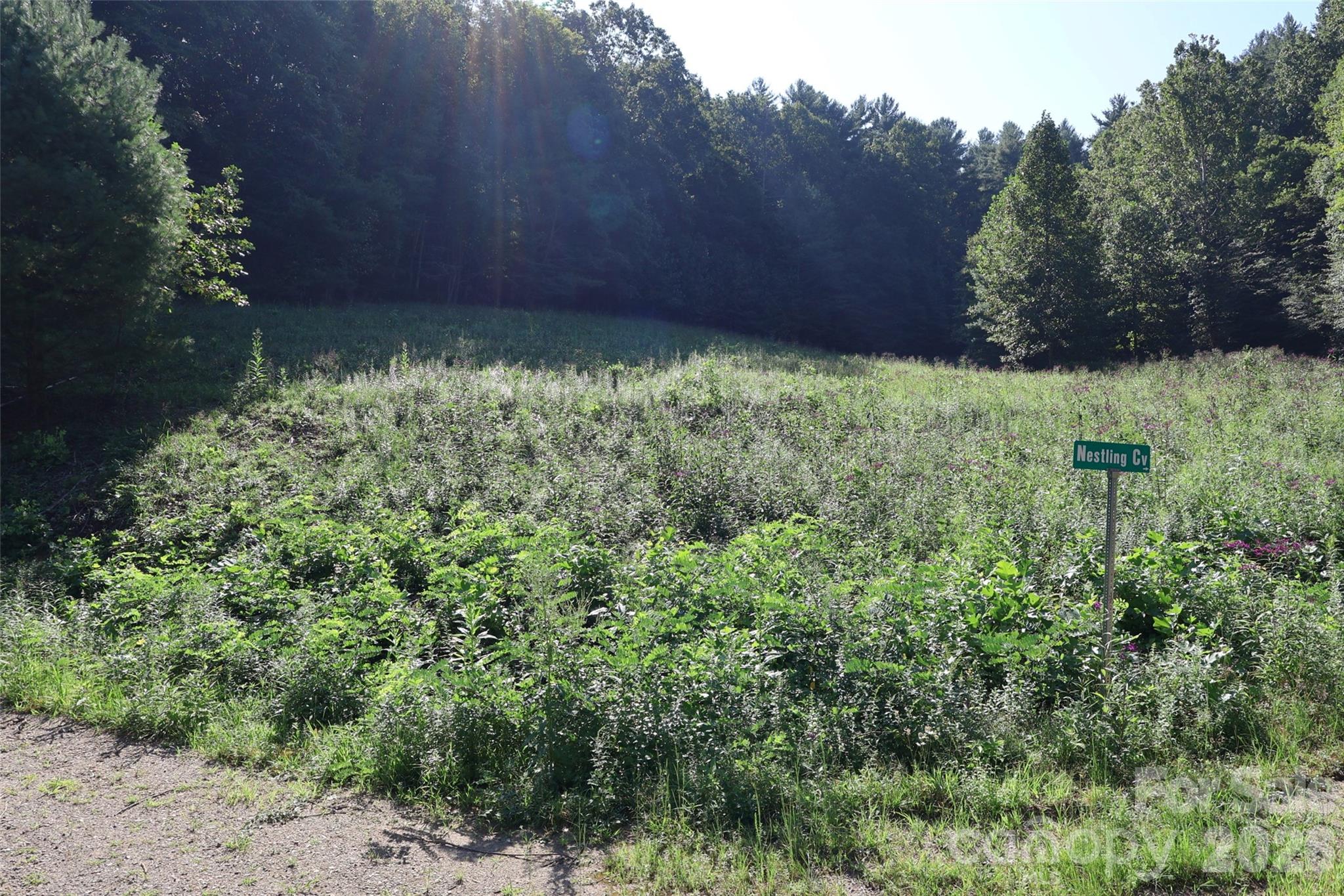99999 Dream Valley Drive Property Photo 11