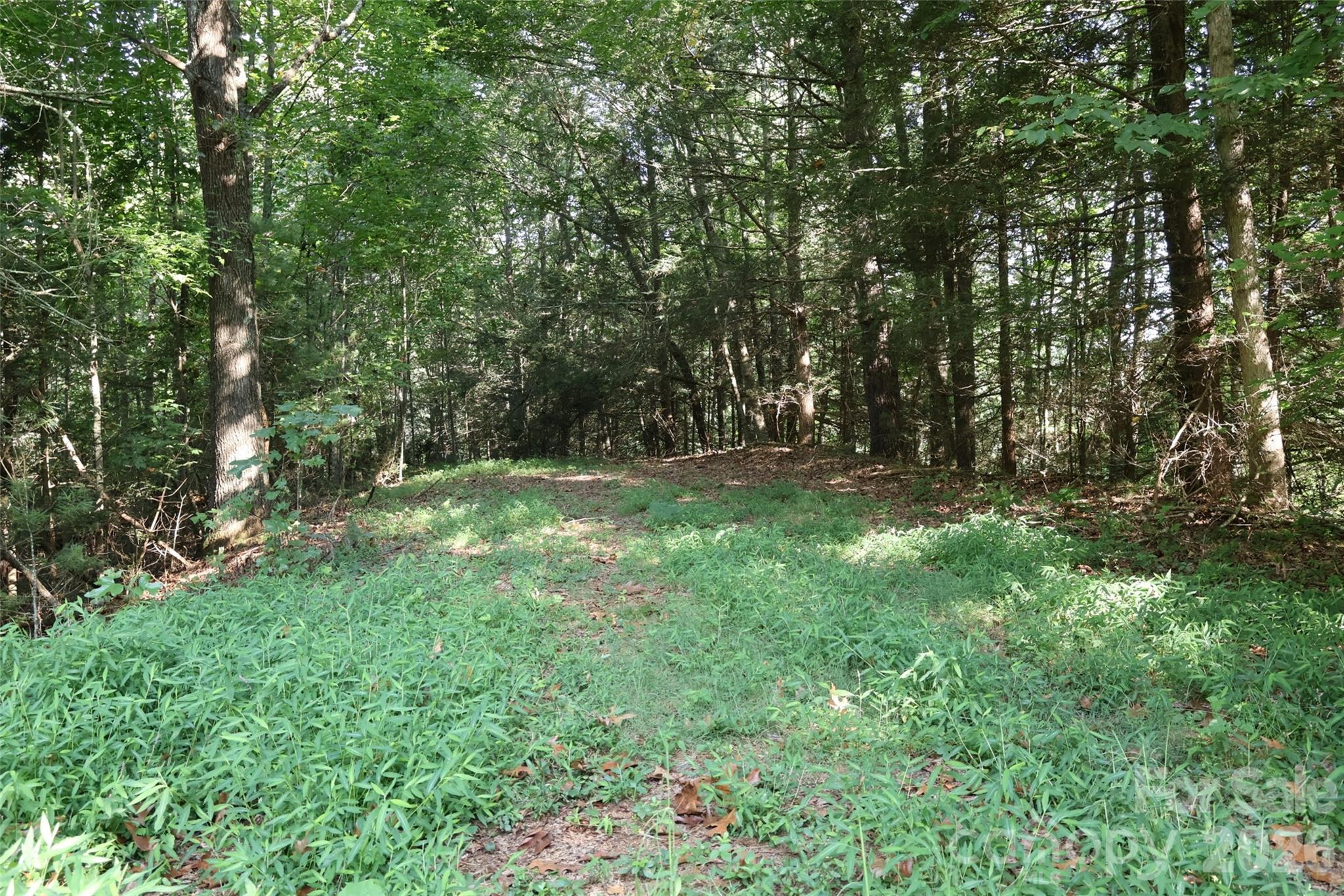 99999 Dream Valley Drive Property Photo 13