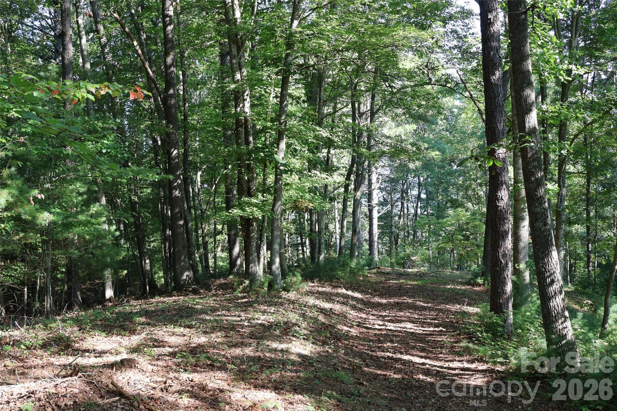 99999 Dream Valley Drive Property Photo 14
