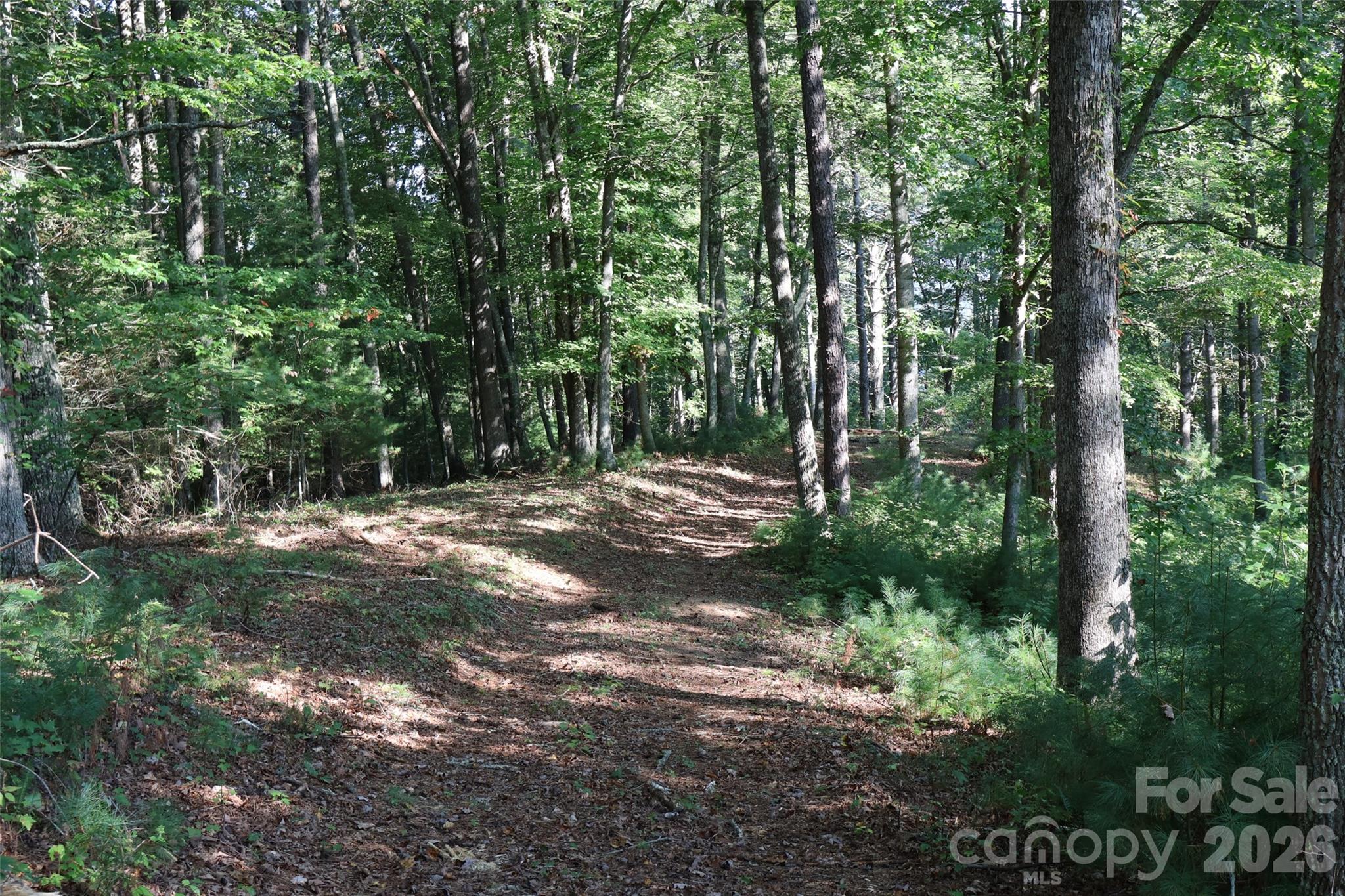 99999 Dream Valley Drive Property Photo 15
