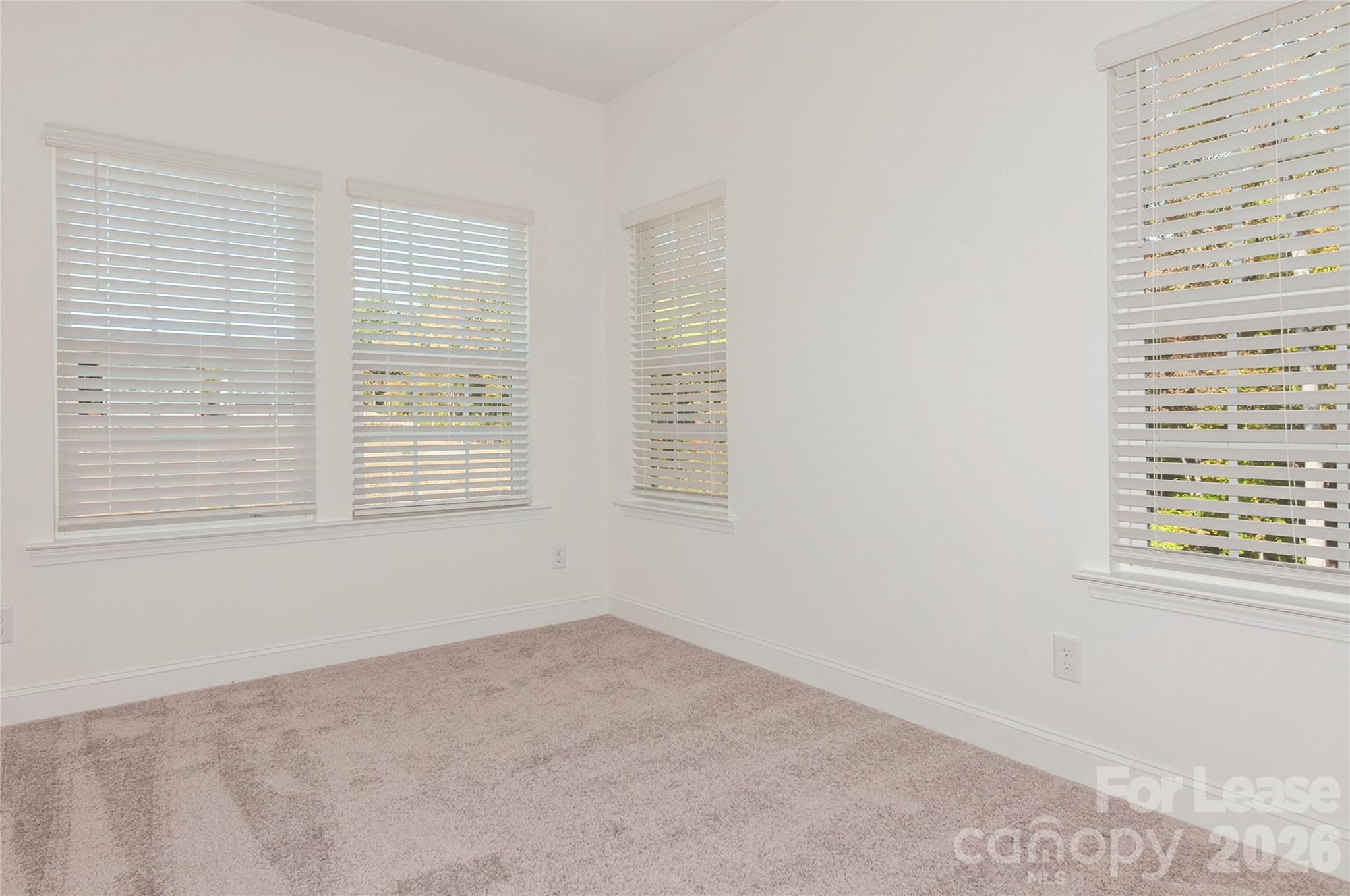 6006 Cedar Chip Way Property Photo 28