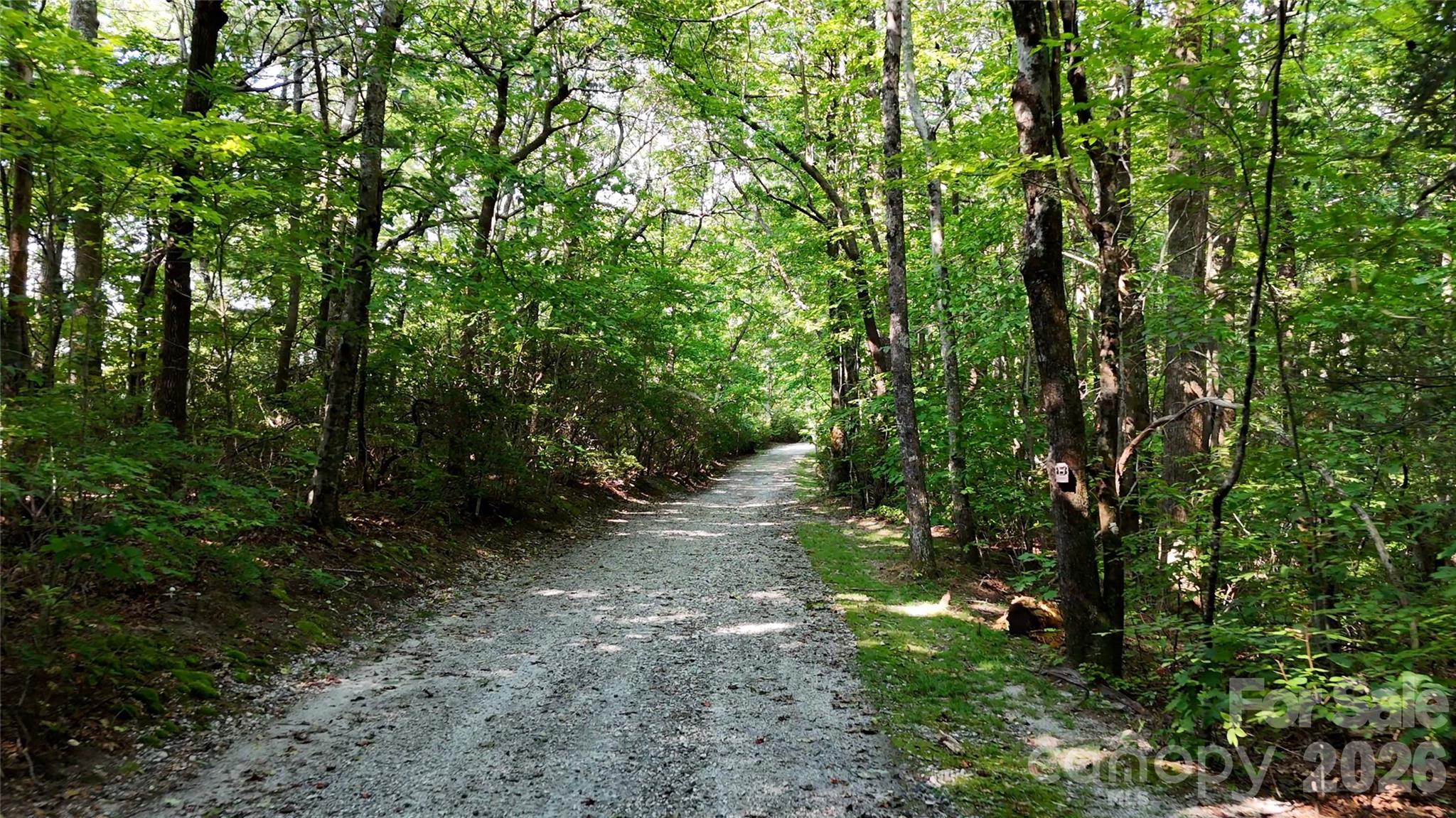 Lot 2 Hogback Mountain Road 2 Property Photo 10