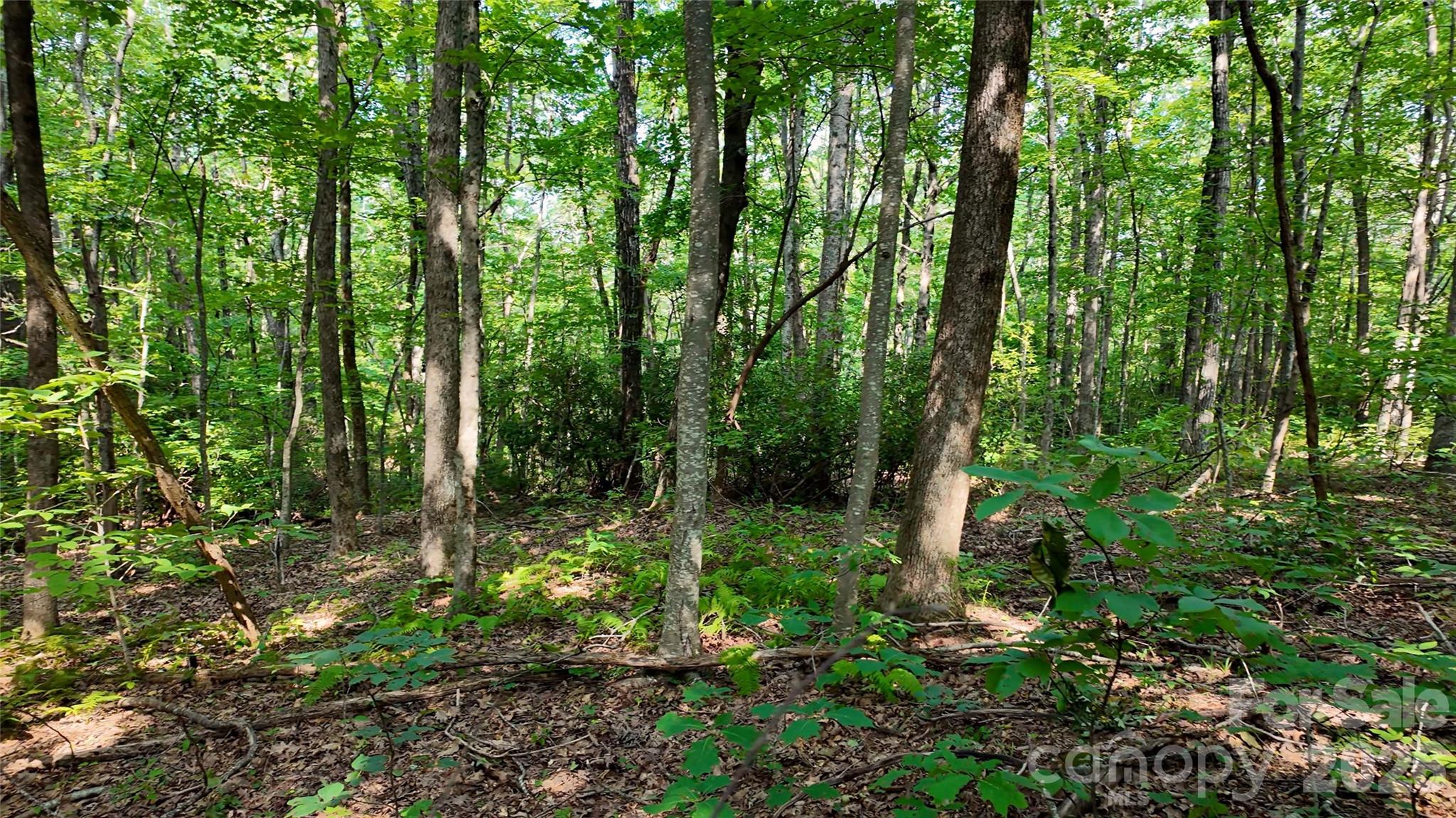 Lot 2 Hogback Mountain Road 2 Property Photo 12