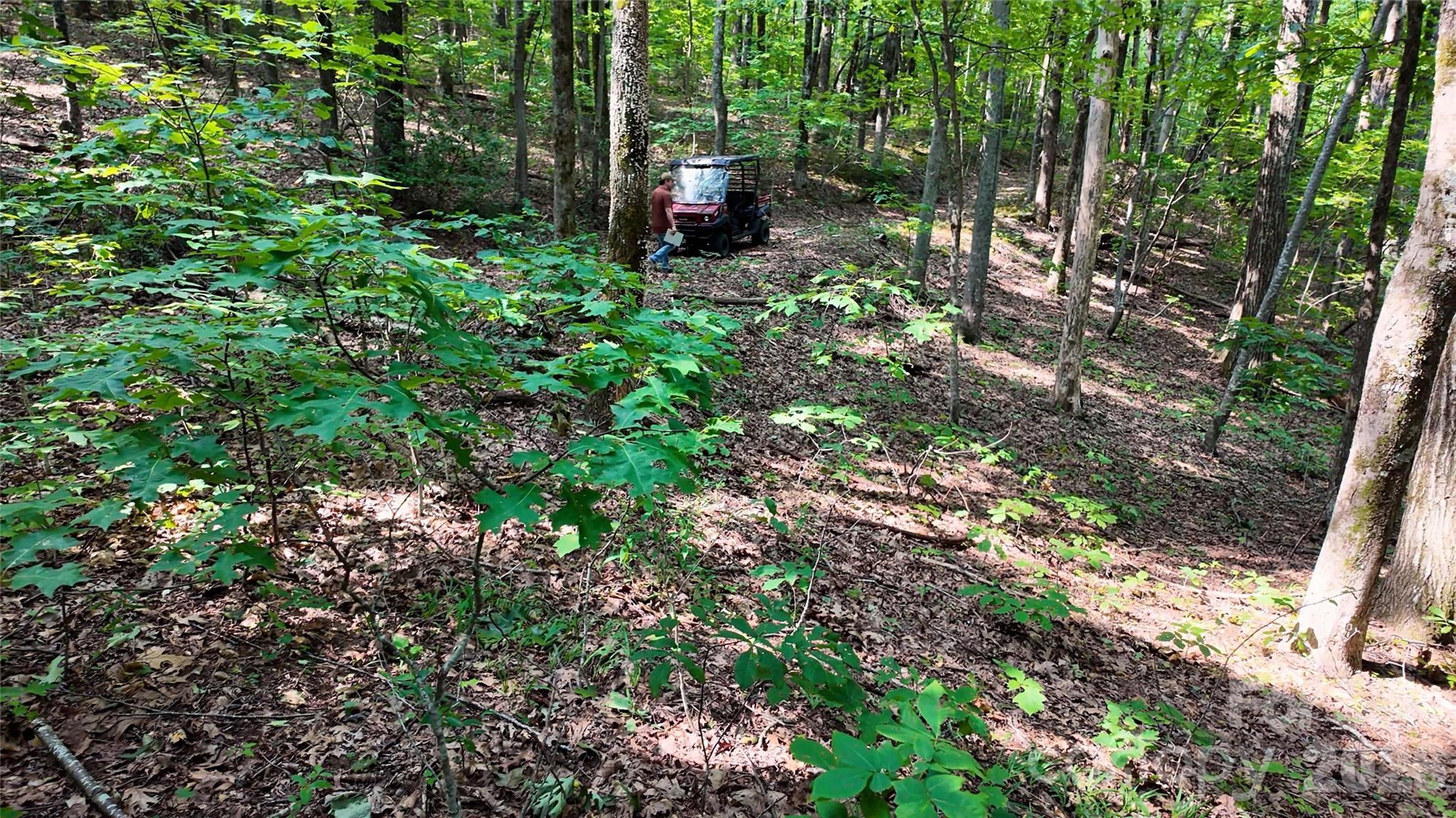 Lot 2 Hogback Mountain Road 2 Property Photo 13