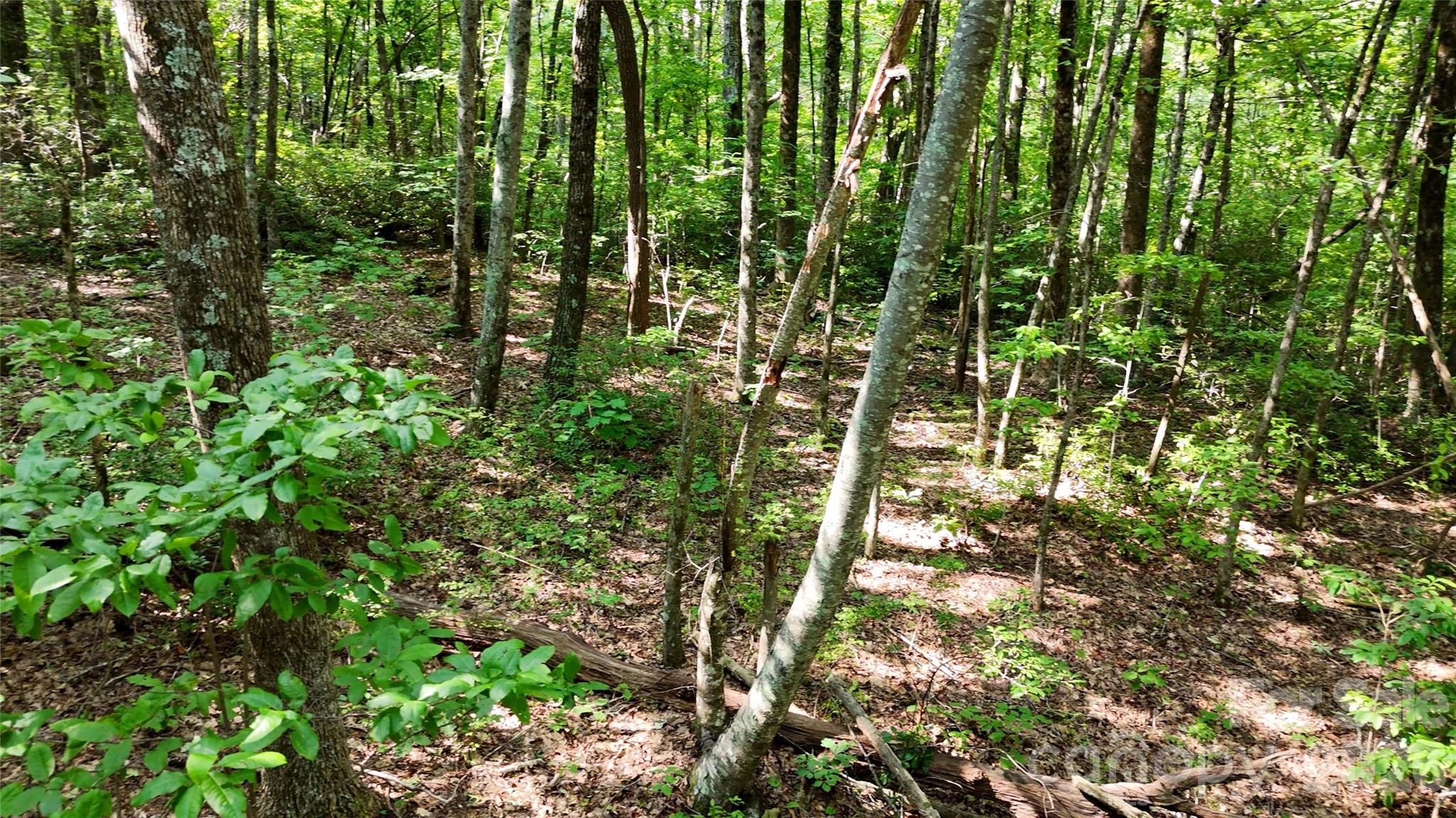 Lot 2 Hogback Mountain Road 2 Property Photo 14