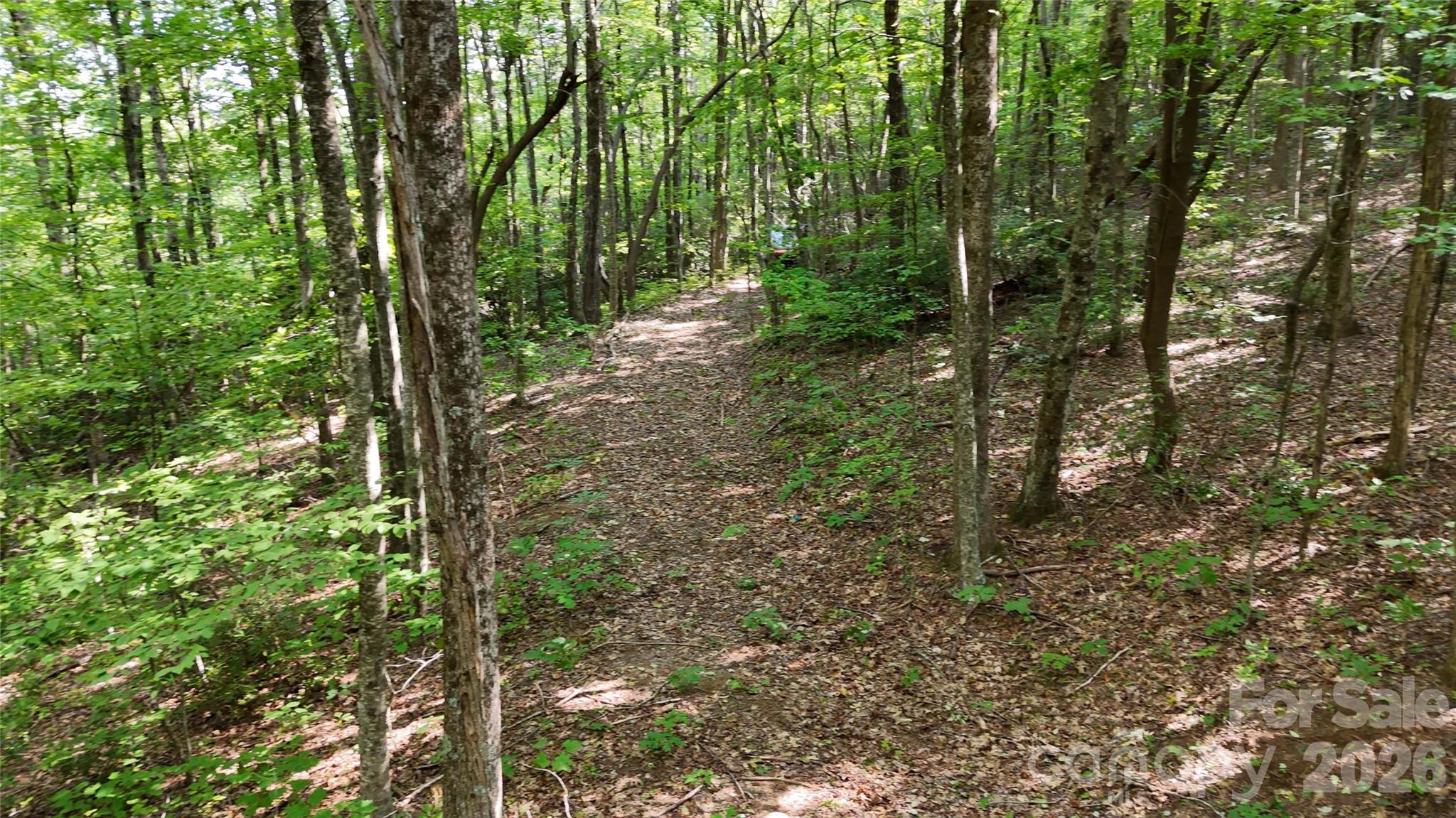 Lot 2 Hogback Mountain Road 2 Property Photo 15