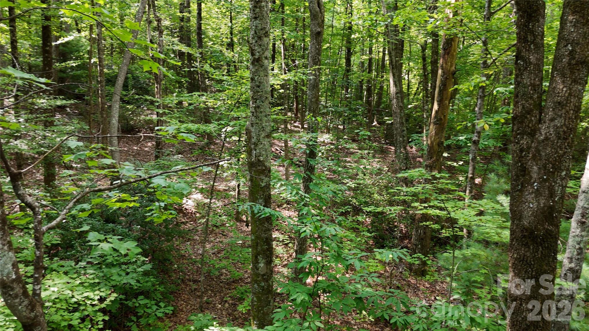 Lot 2 Hogback Mountain Road 2 Property Photo 16