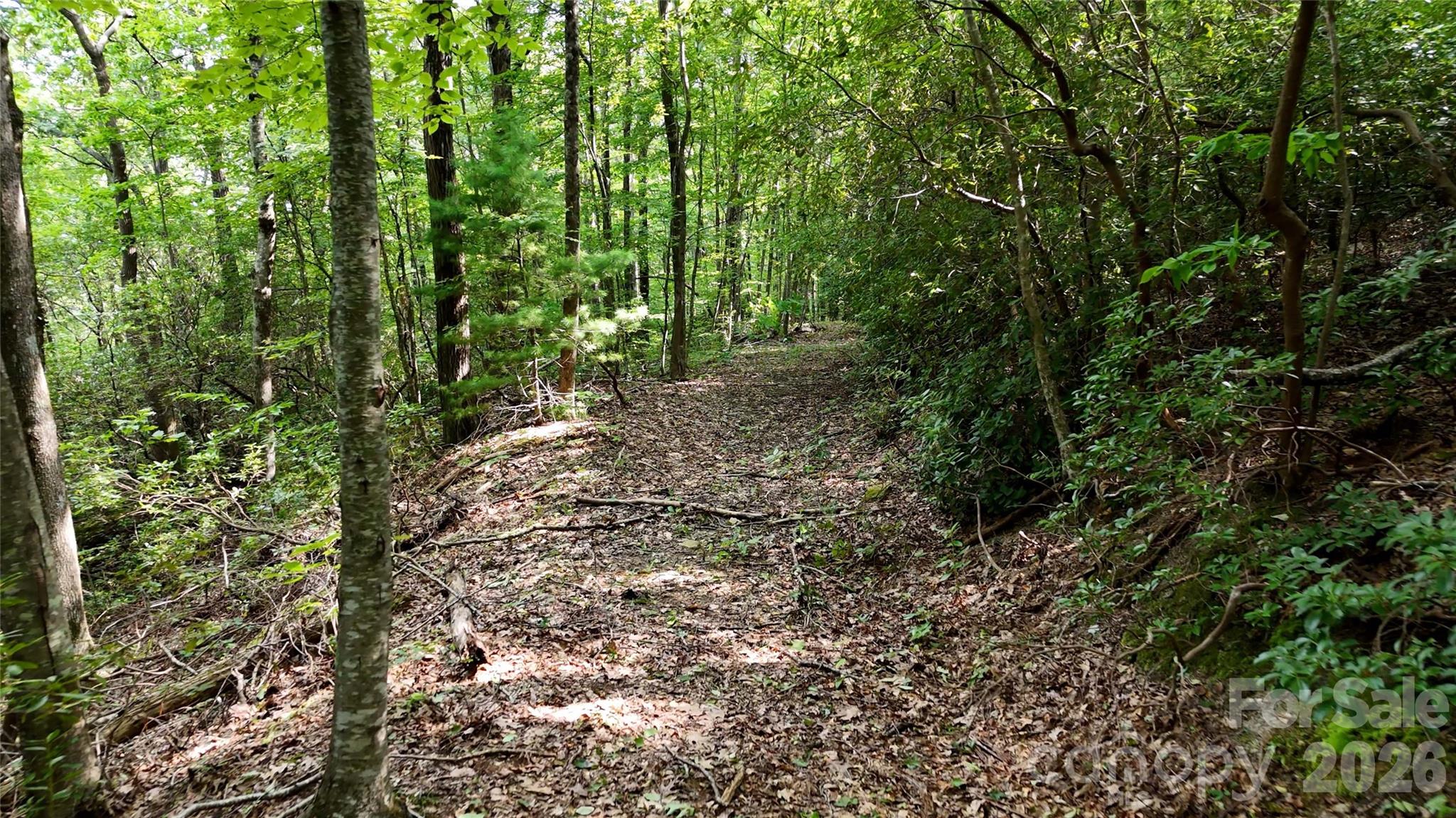 Lot 2 Hogback Mountain Road 2 Property Photo 17