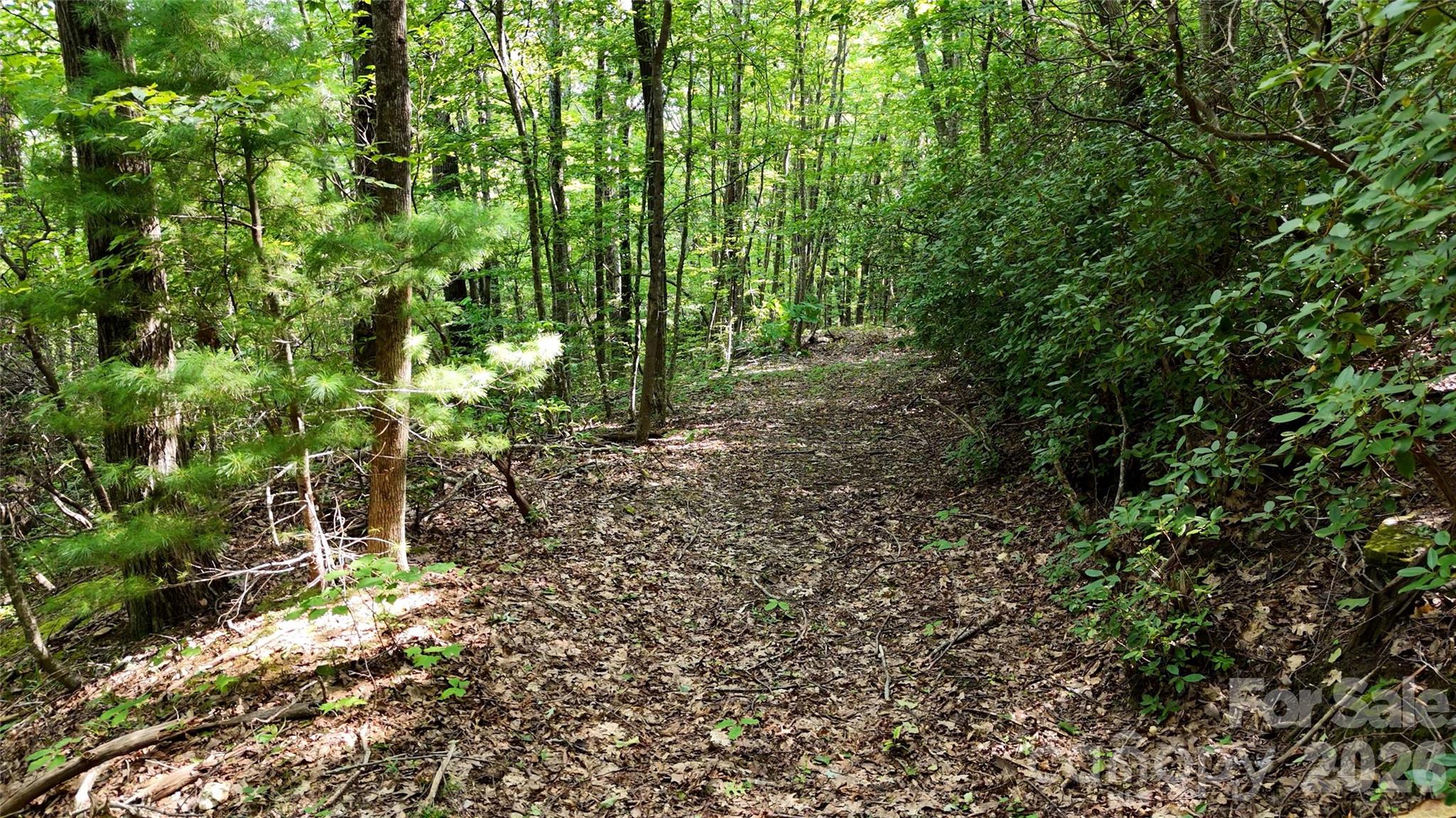 Lot 2 Hogback Mountain Road 2 Property Photo 18