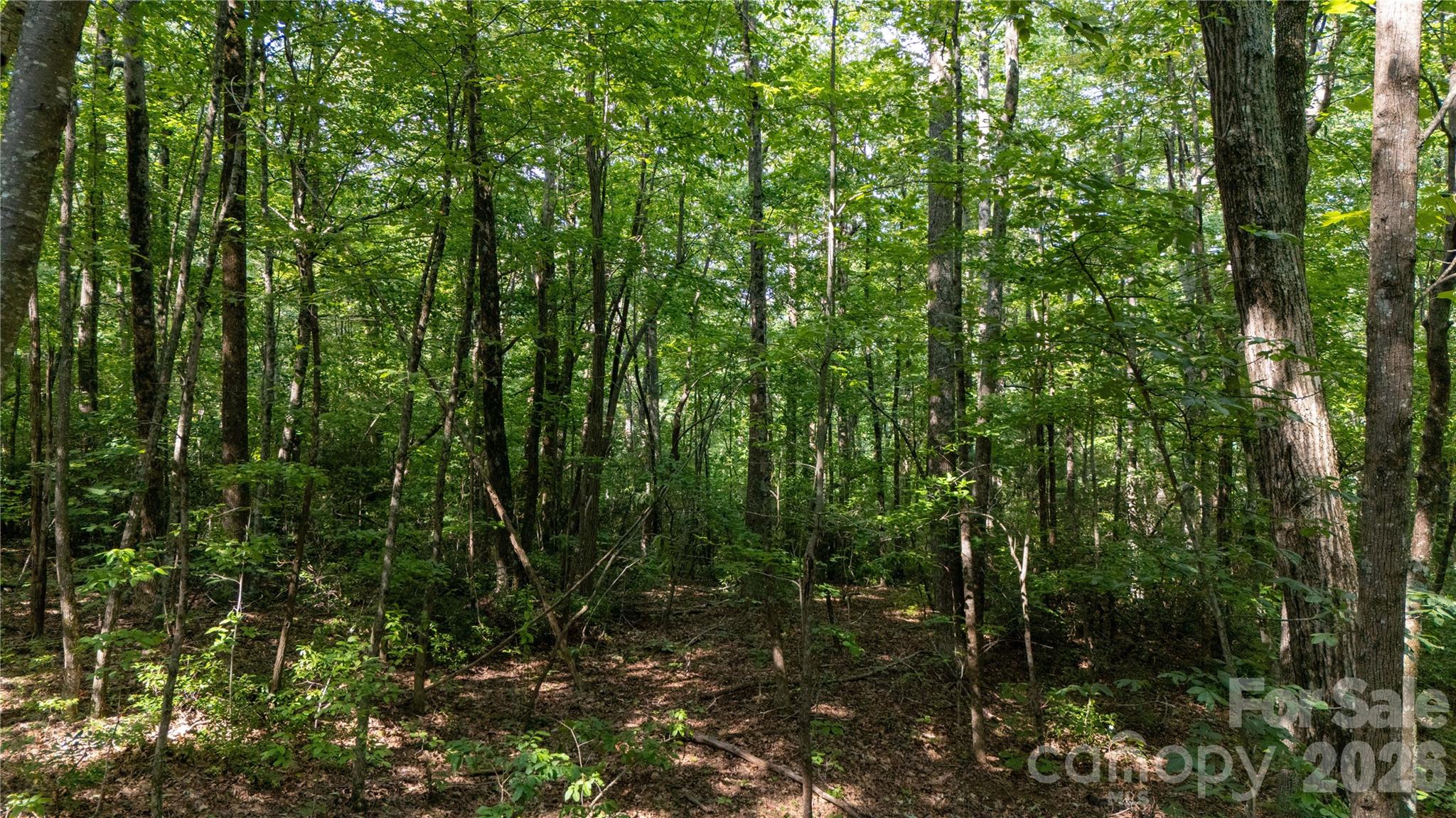Lot 2 Hogback Mountain Road 2 Property Photo 19