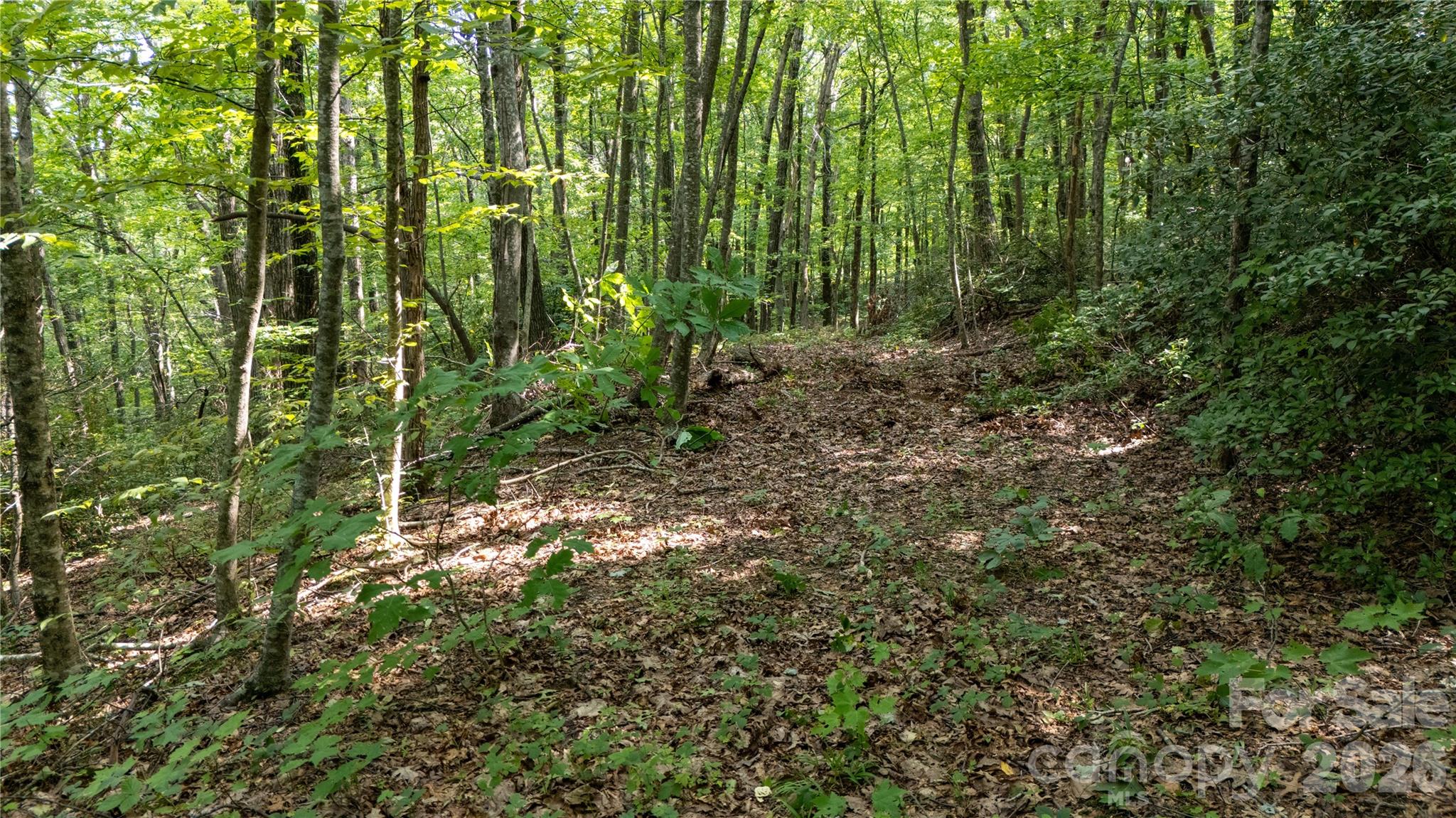 Lot 2 Hogback Mountain Road 2 Property Photo 20