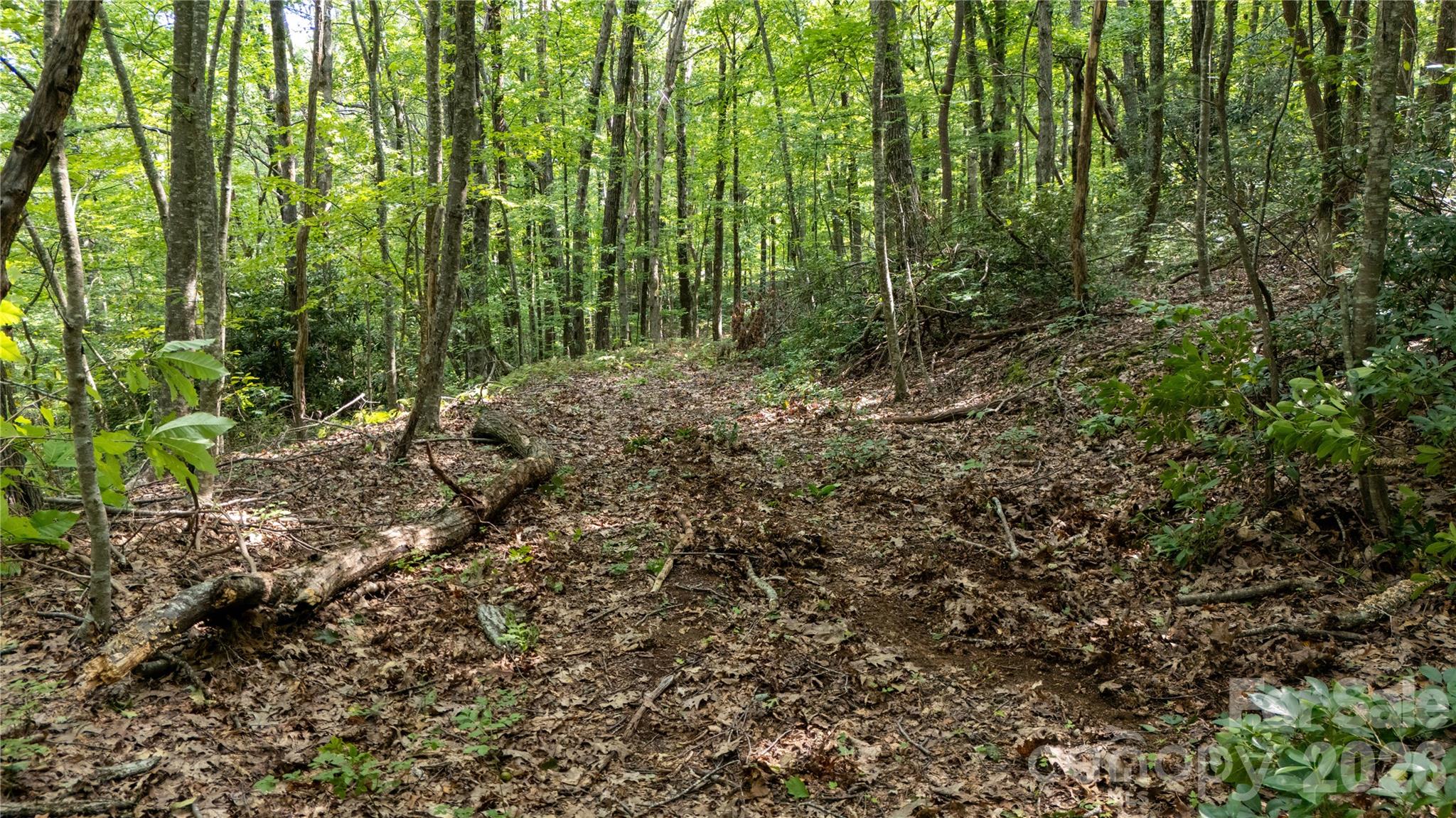 Lot 2 Hogback Mountain Road 2 Property Photo 21