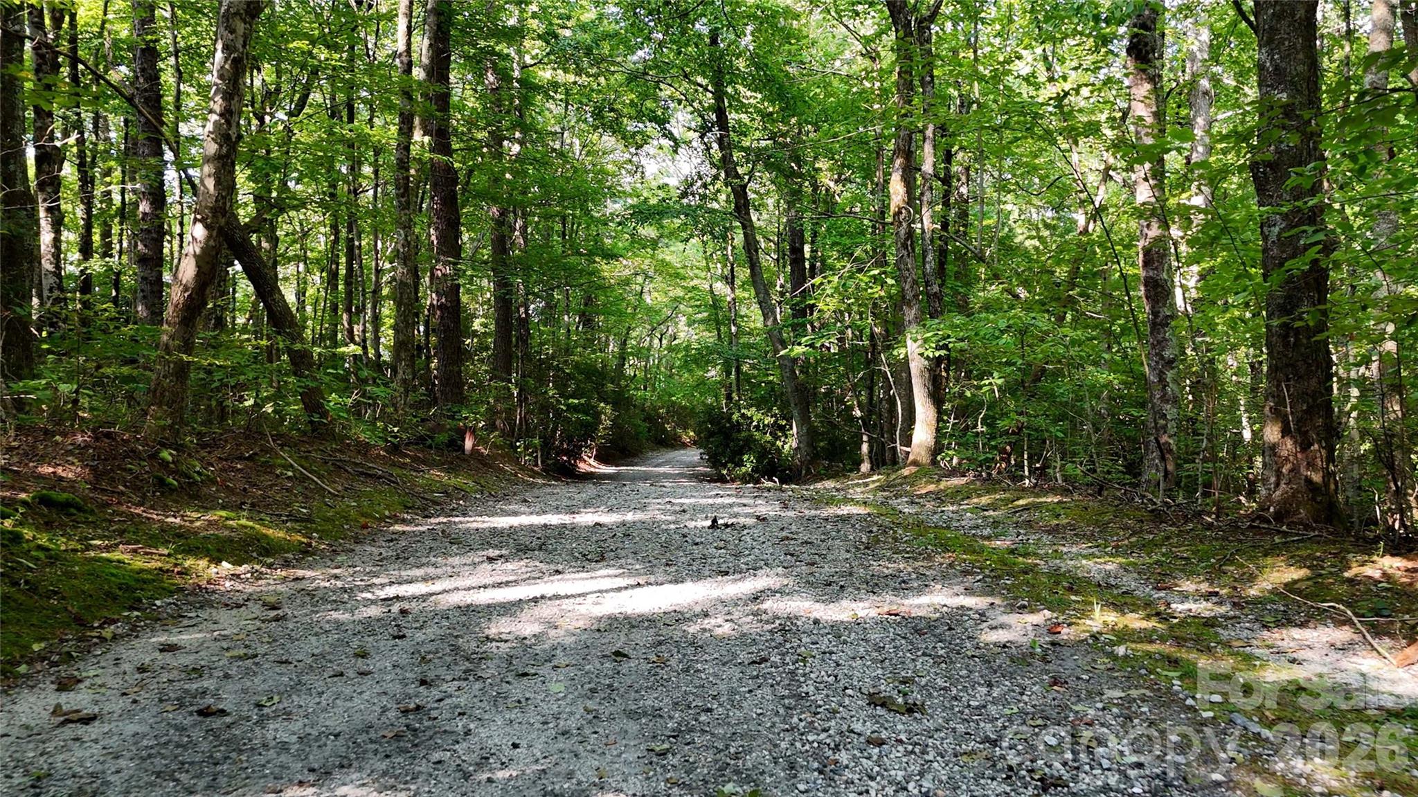 Lot 2 Hogback Mountain Road 2 Property Photo 23