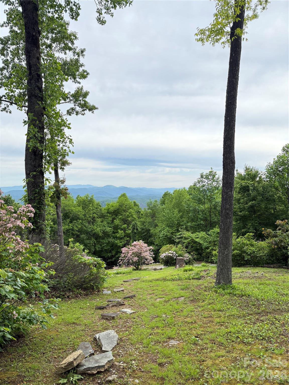 Lot 2 Hogback Mountain Road 2 Property Photo 25