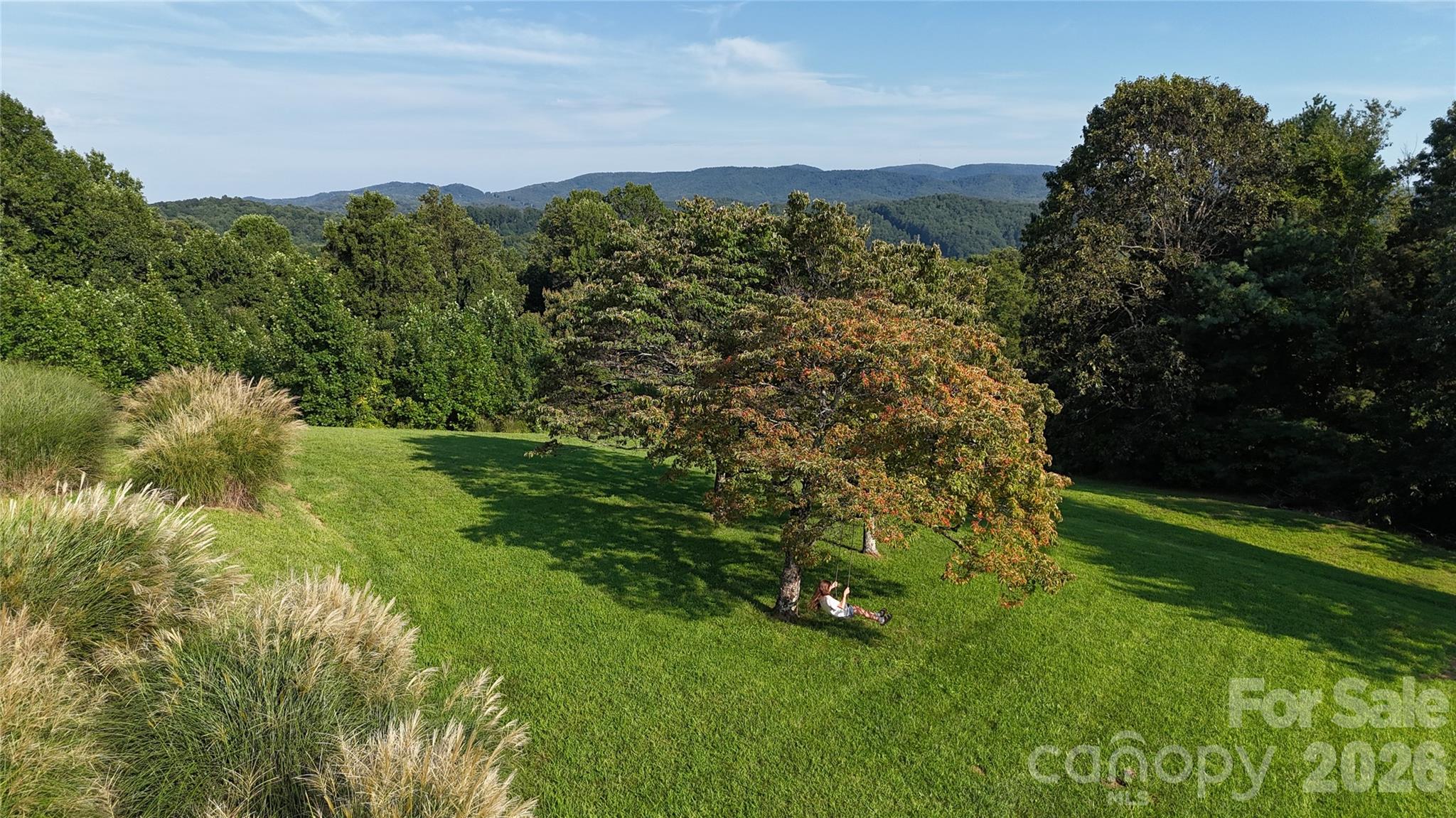 93 Orchard Hill Property Photo 5