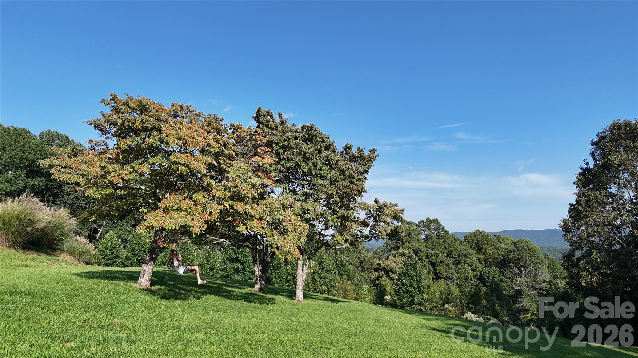 93 Orchard Hill Property Photo 6