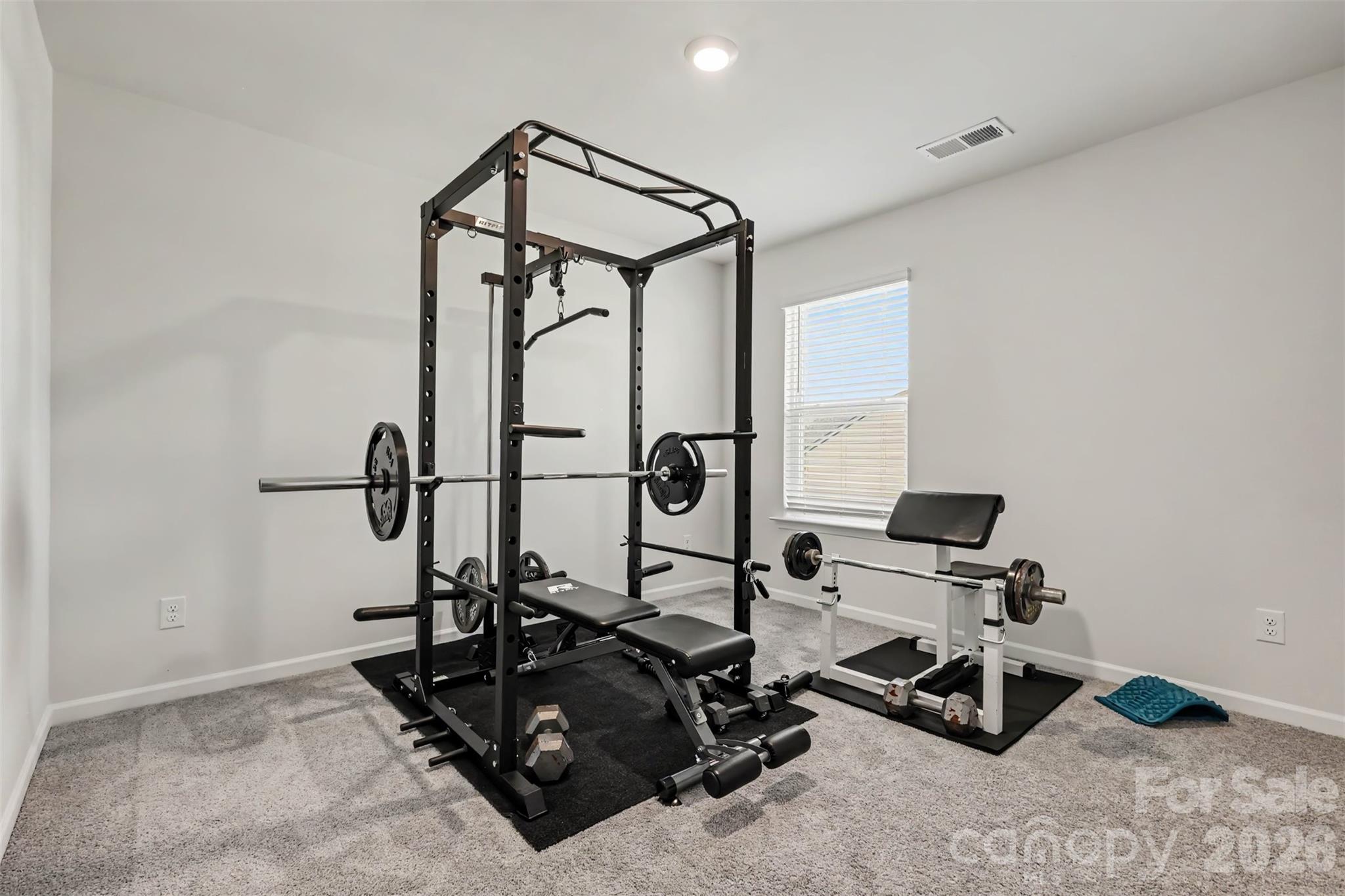 3008 Sassafras Trail Property Photo 21