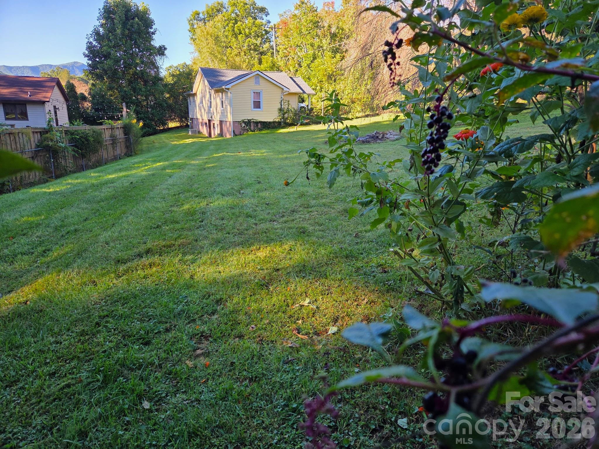 408 Mccoy Cove Road Property Photo 9