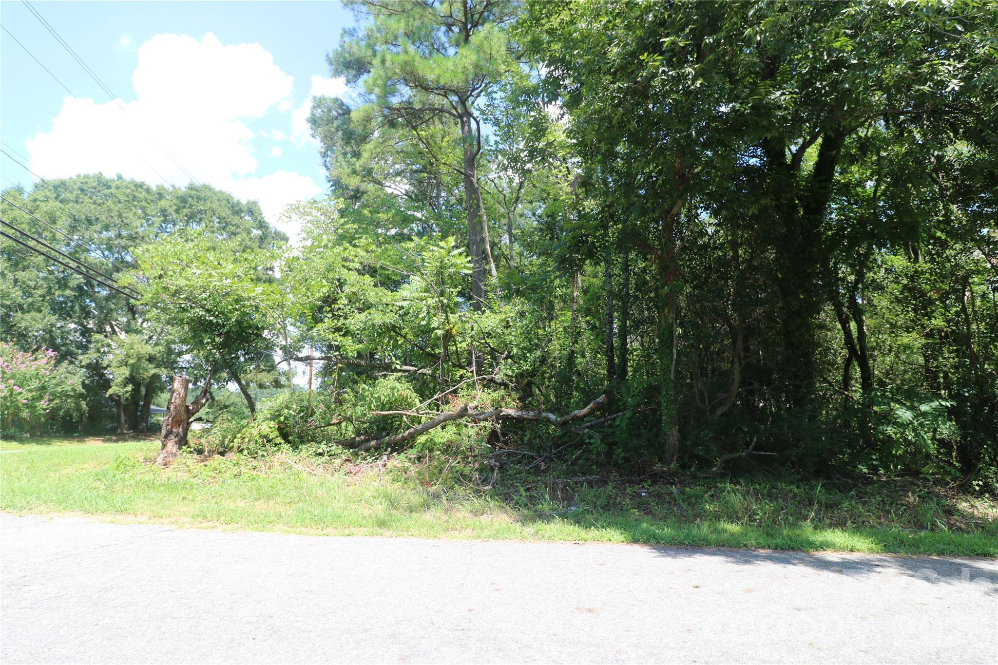 0 Springfield Drive Property Photo 1