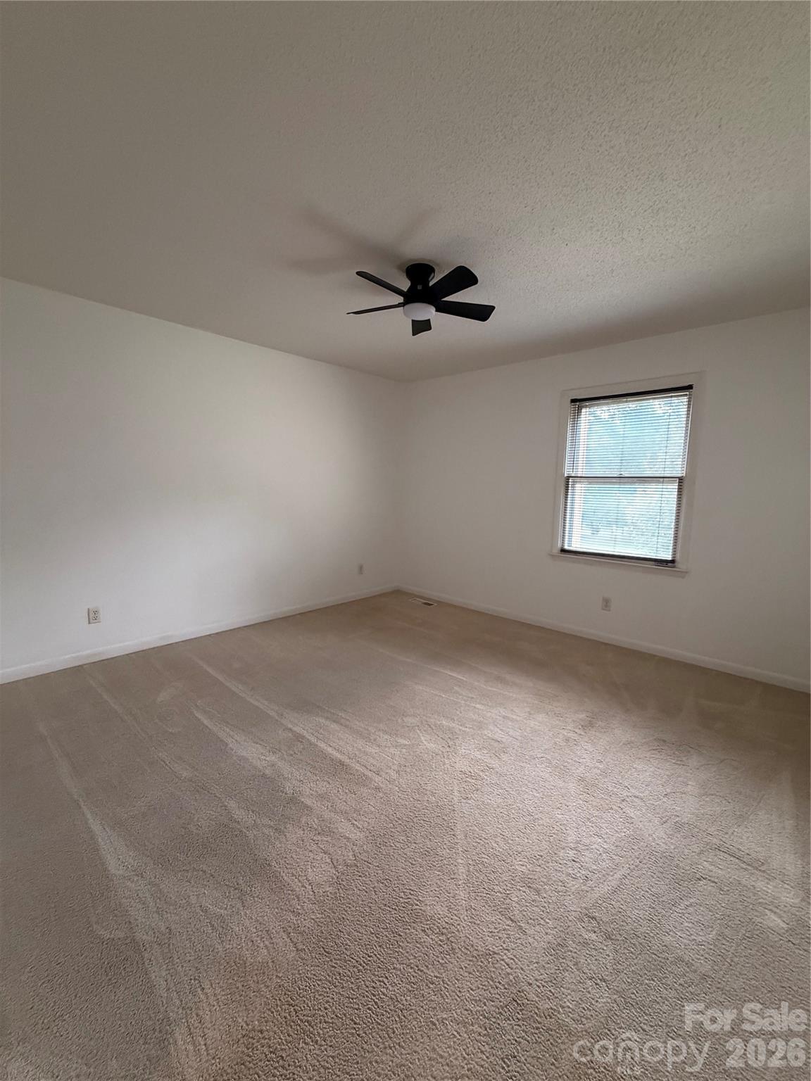 103 Crestlane Drive C Property Photo 18