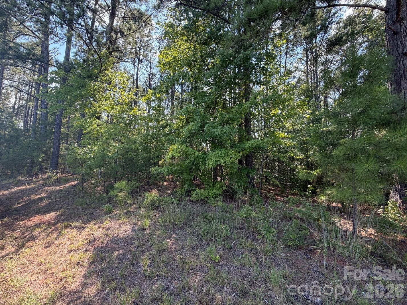 2806 Quinn Road Property Photo 14