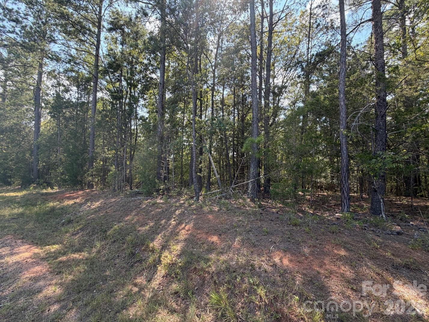 2806 Quinn Road Property Photo 17