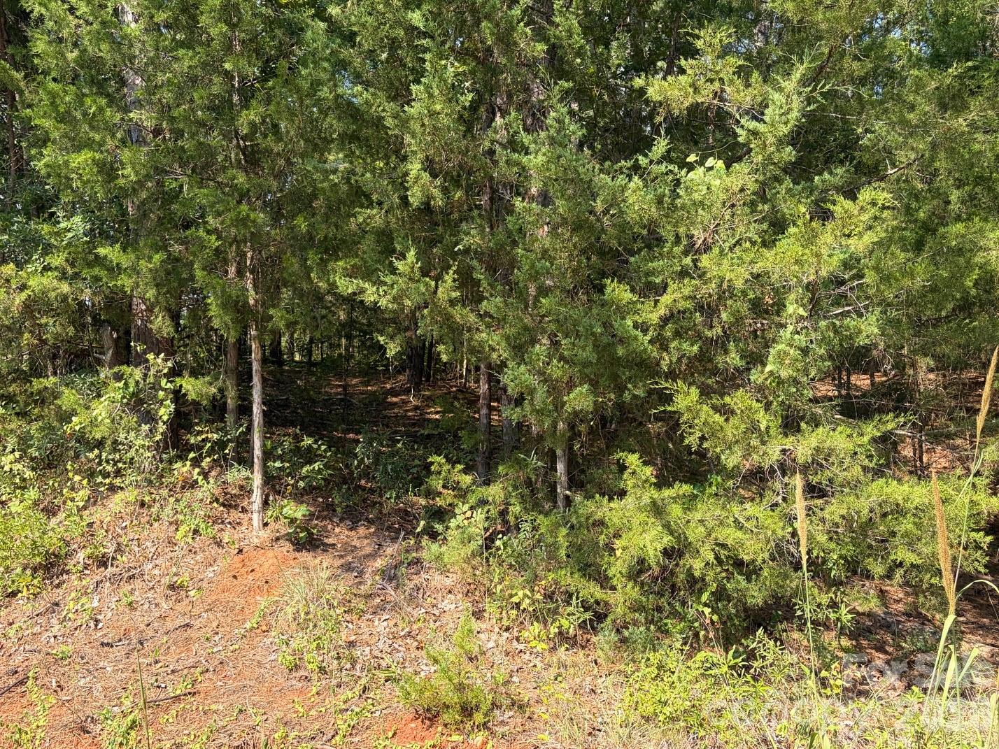 2806 Quinn Road Property Photo 20