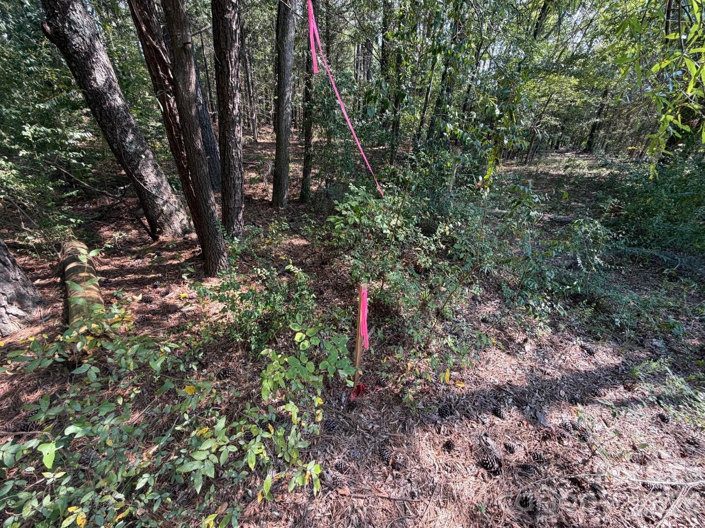 2806 Quinn Road Property Photo 21