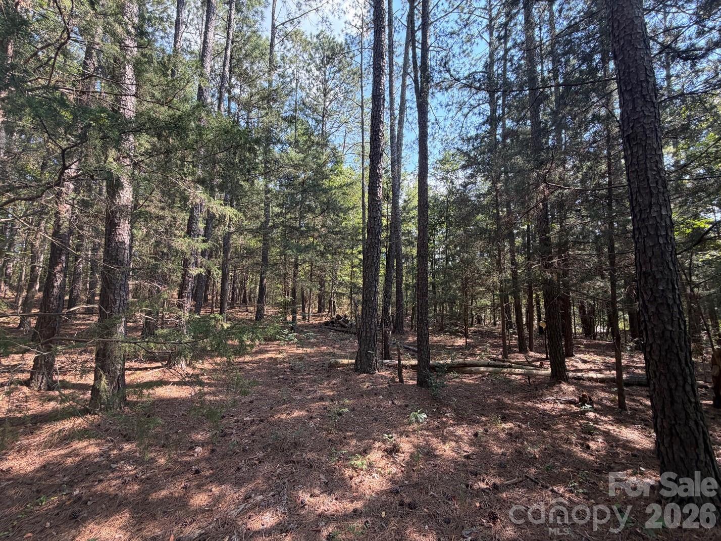 2806 Quinn Road Property Photo 22
