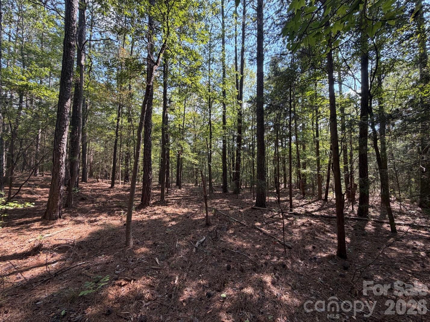 2806 Quinn Road Property Photo 24