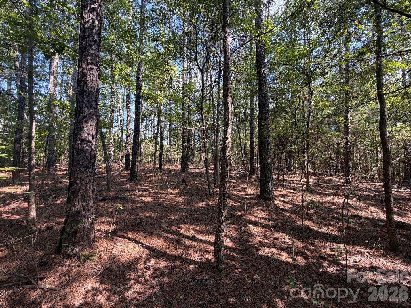 2806 Quinn Road Property Photo 25