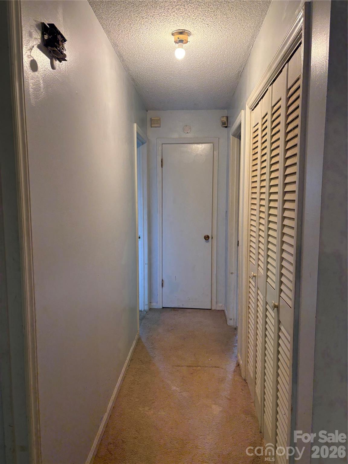 115 Wandering Lane Property Photo 6