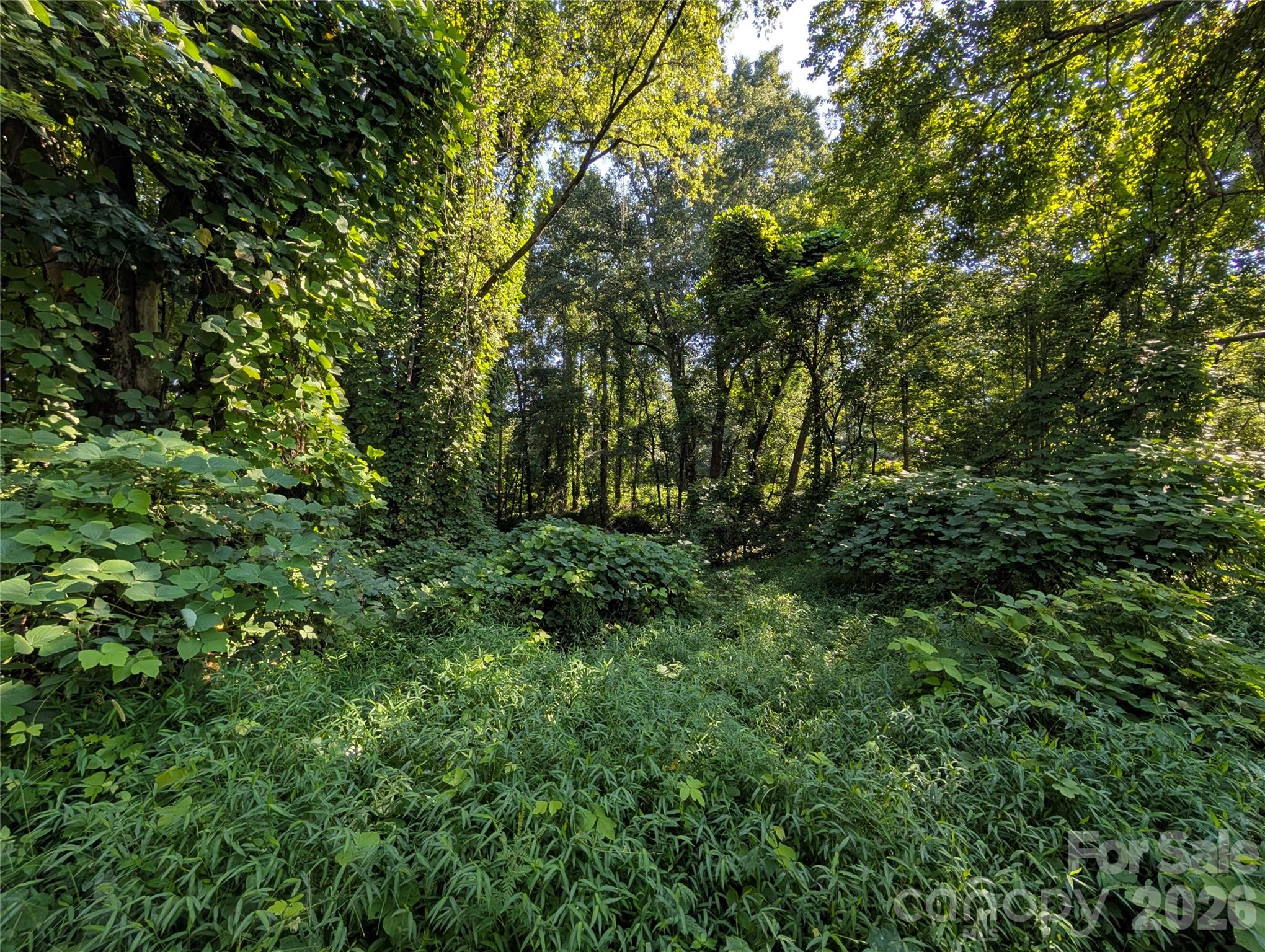 1406 Dillard Lane Property Photo 1