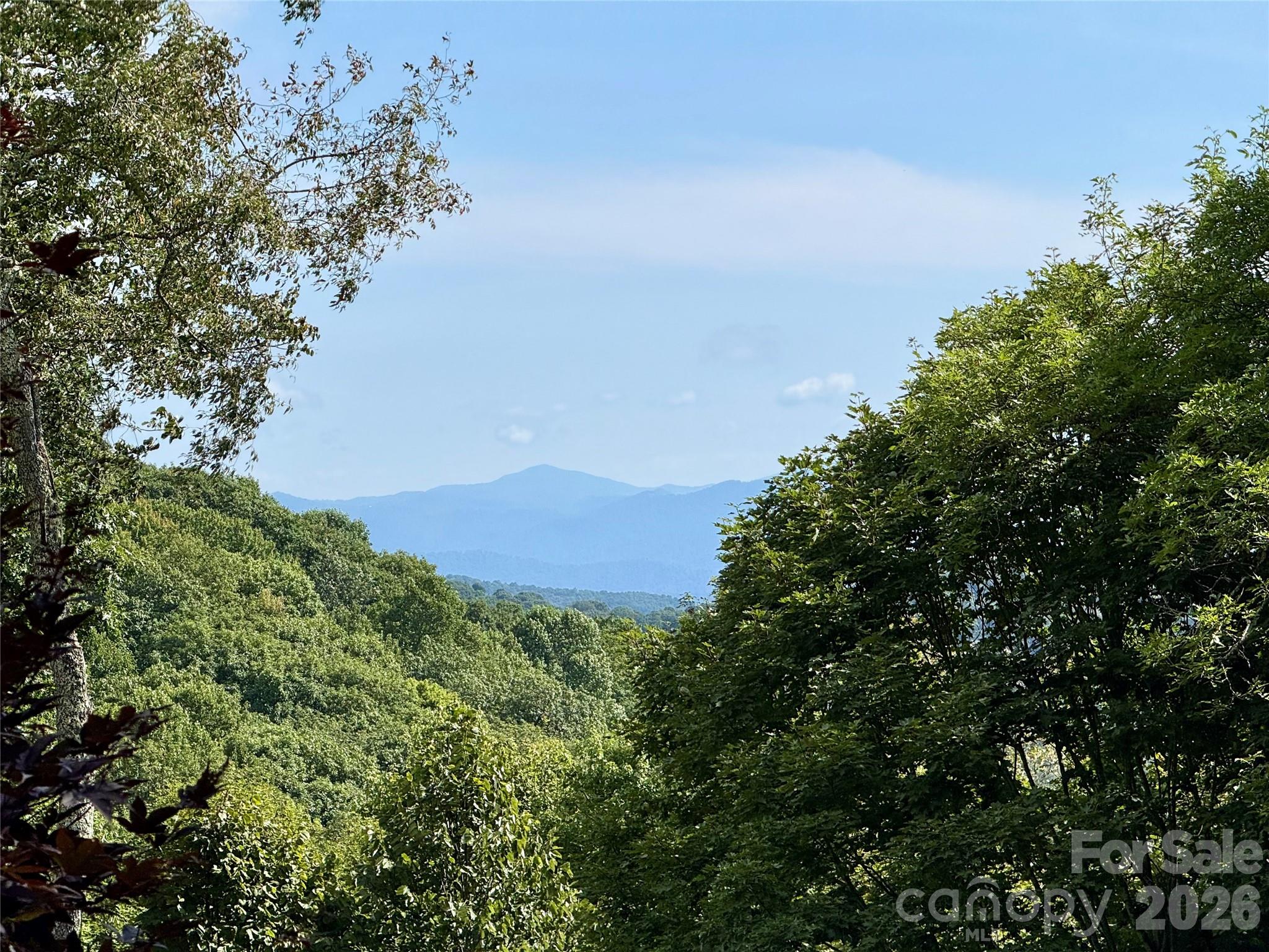98 Goldenleaf Road Property Photo 1