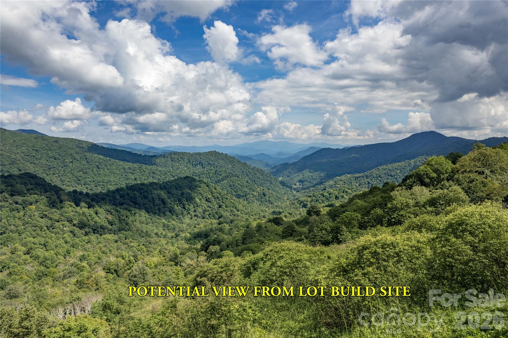 98 Goldenleaf Road Property Photo 1