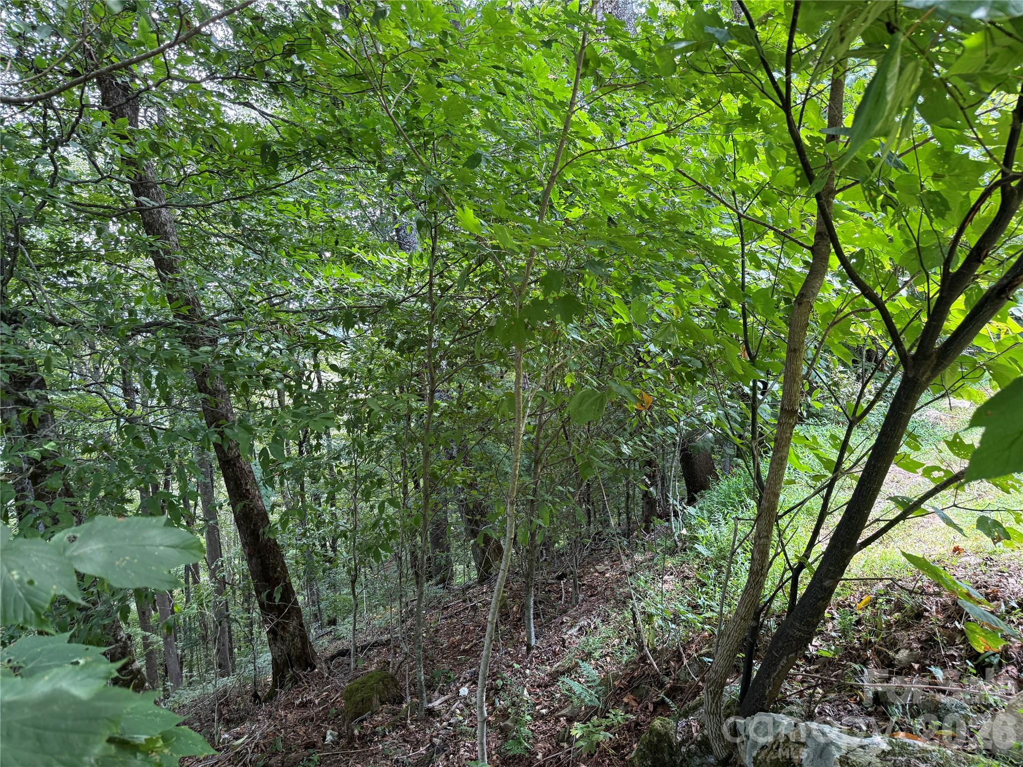 98 Goldenleaf Road Property Photo 20