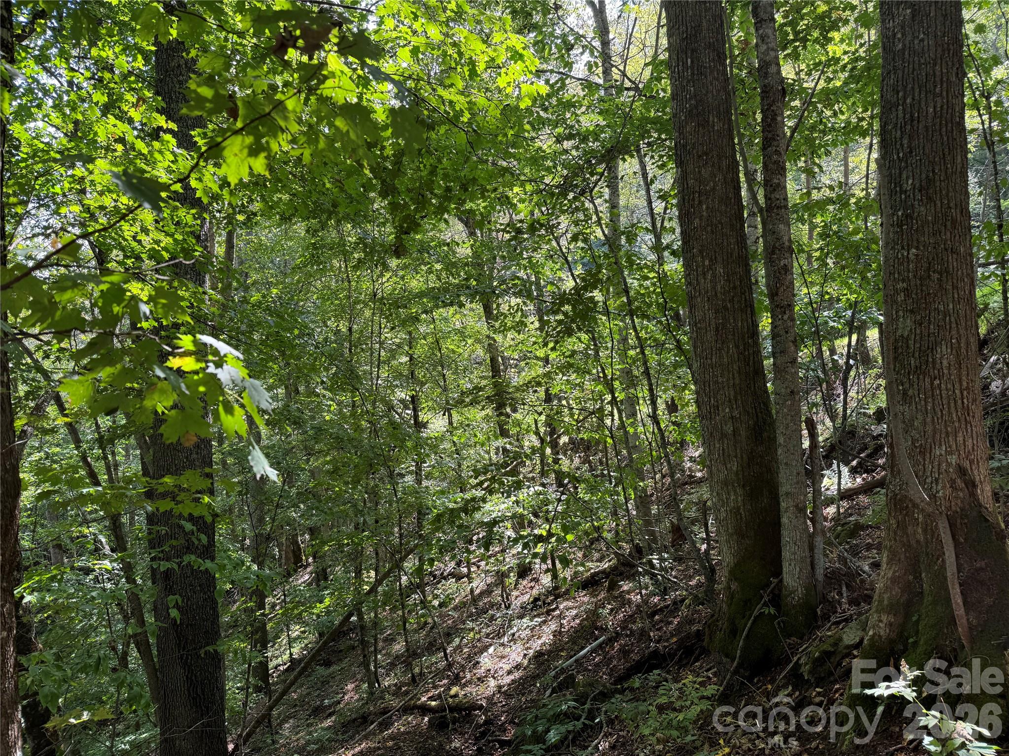 98 Goldenleaf Road Property Photo 21