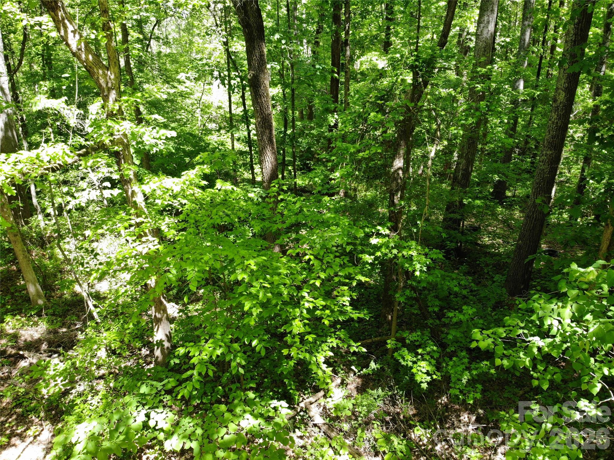 #168 Rolling Road Property Photo 2