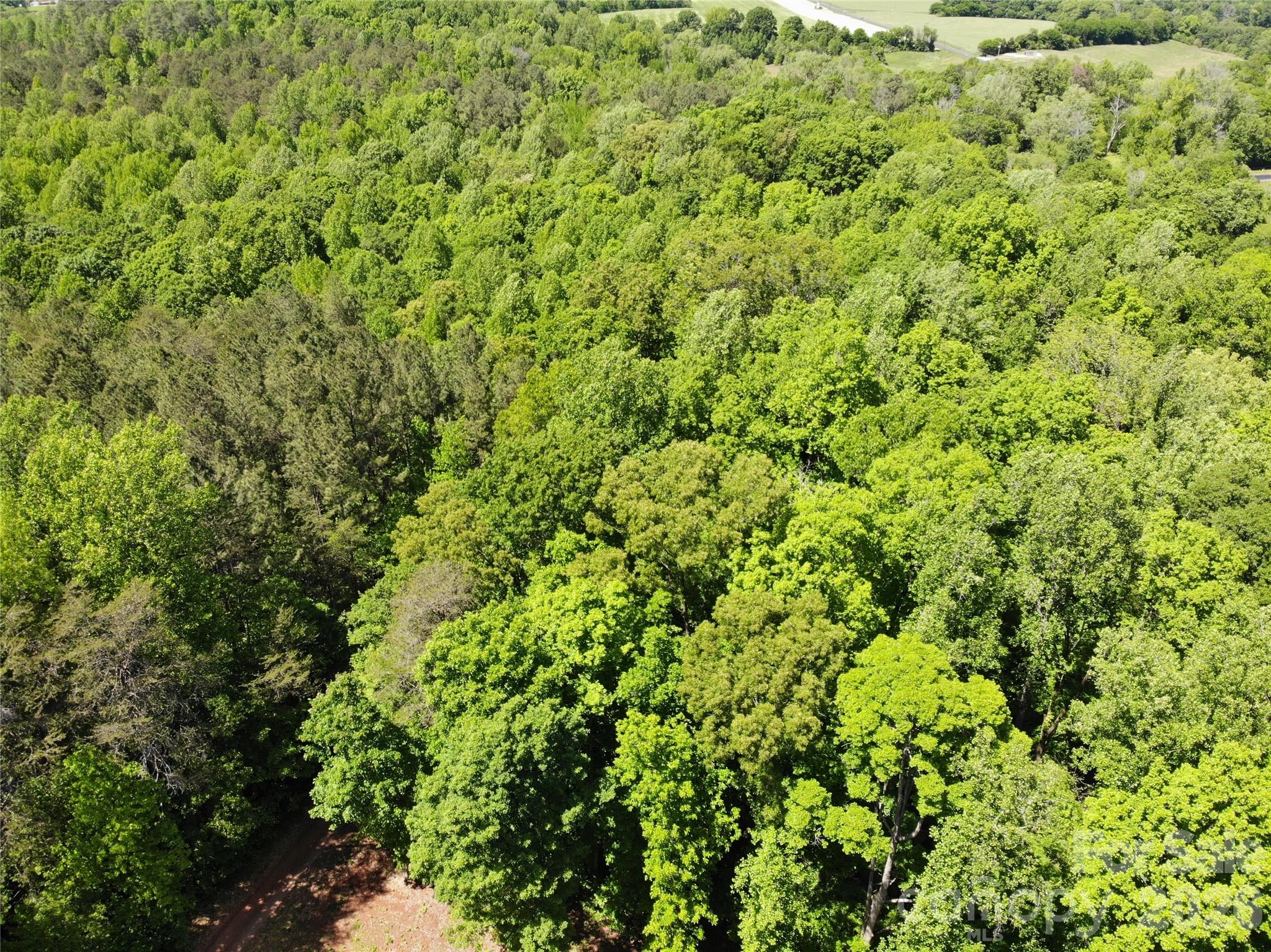 #168 Rolling Road Property Photo 4