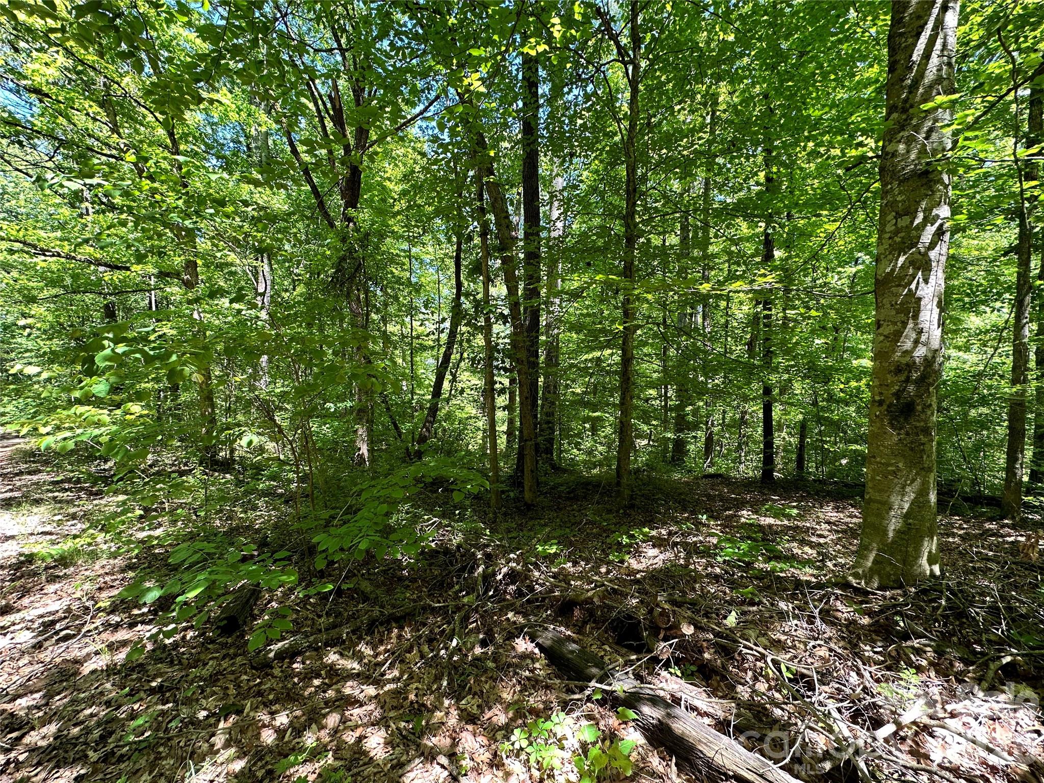 #168 Rolling Road Property Photo 7