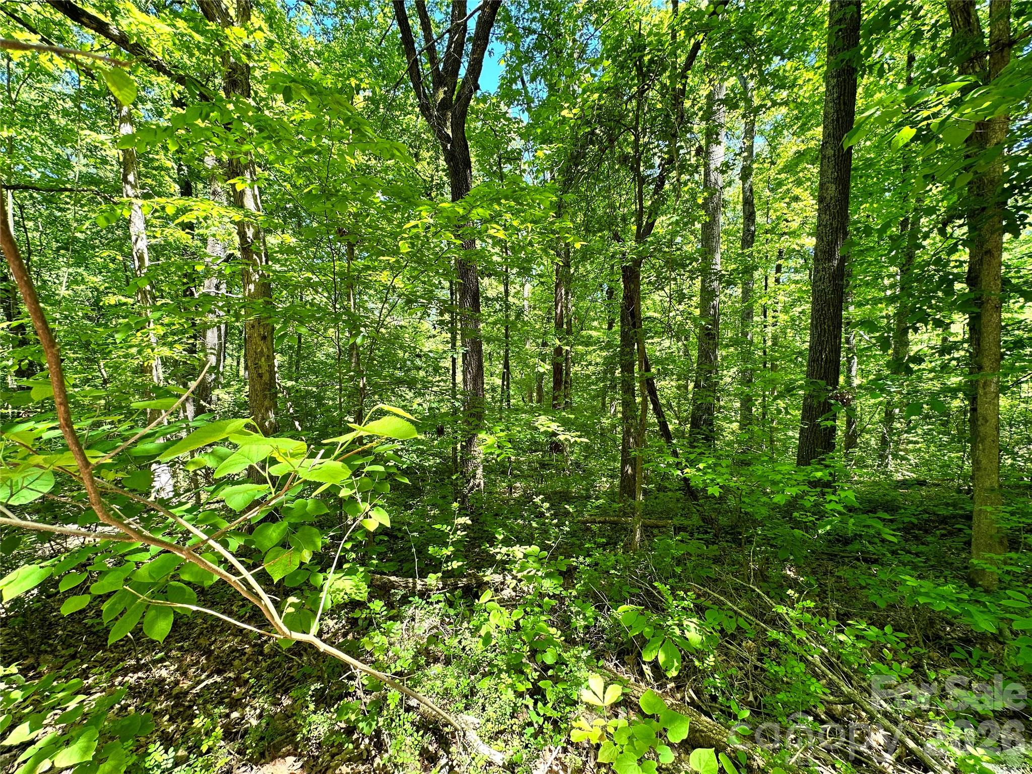 #168 Rolling Road Property Photo 8