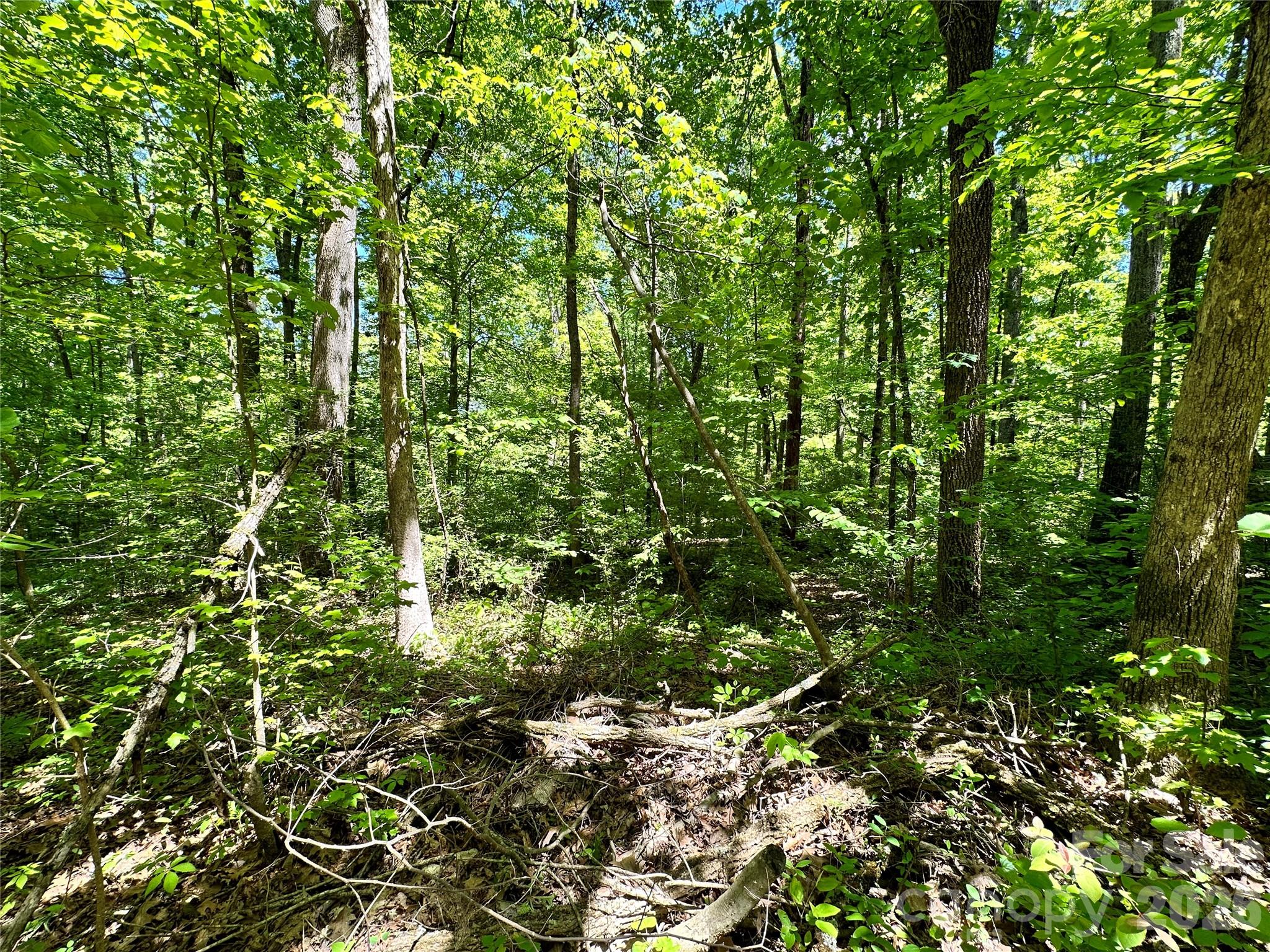 #168 Rolling Road Property Photo 11