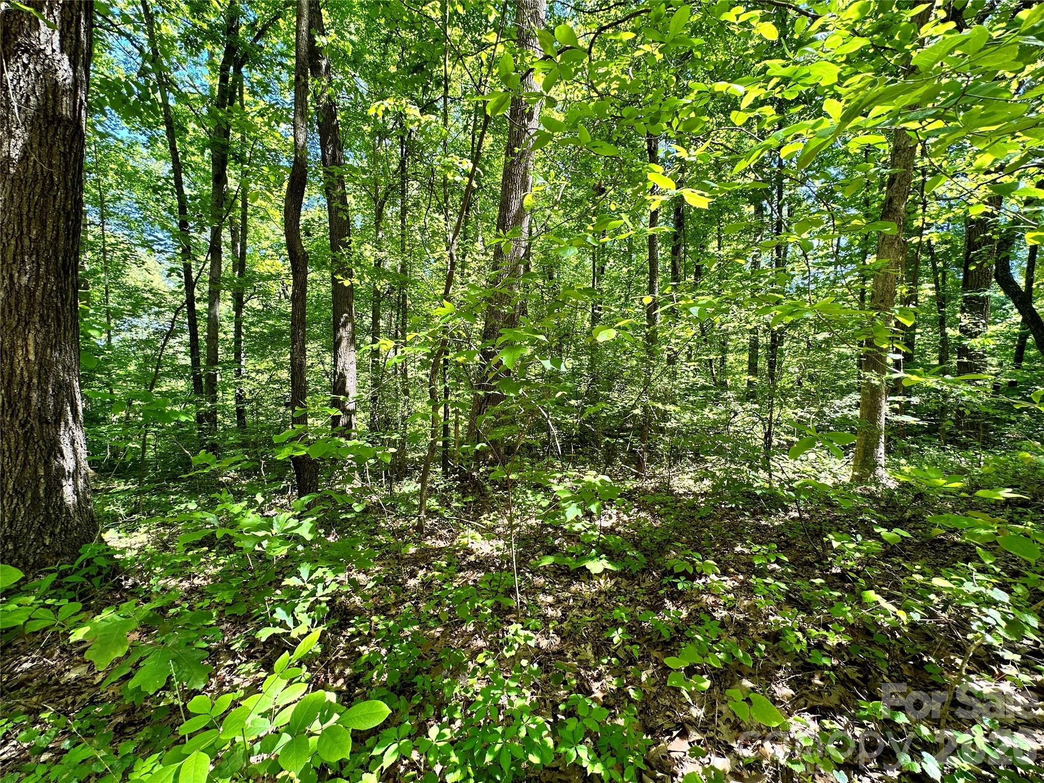 #168 Rolling Road Property Photo 12