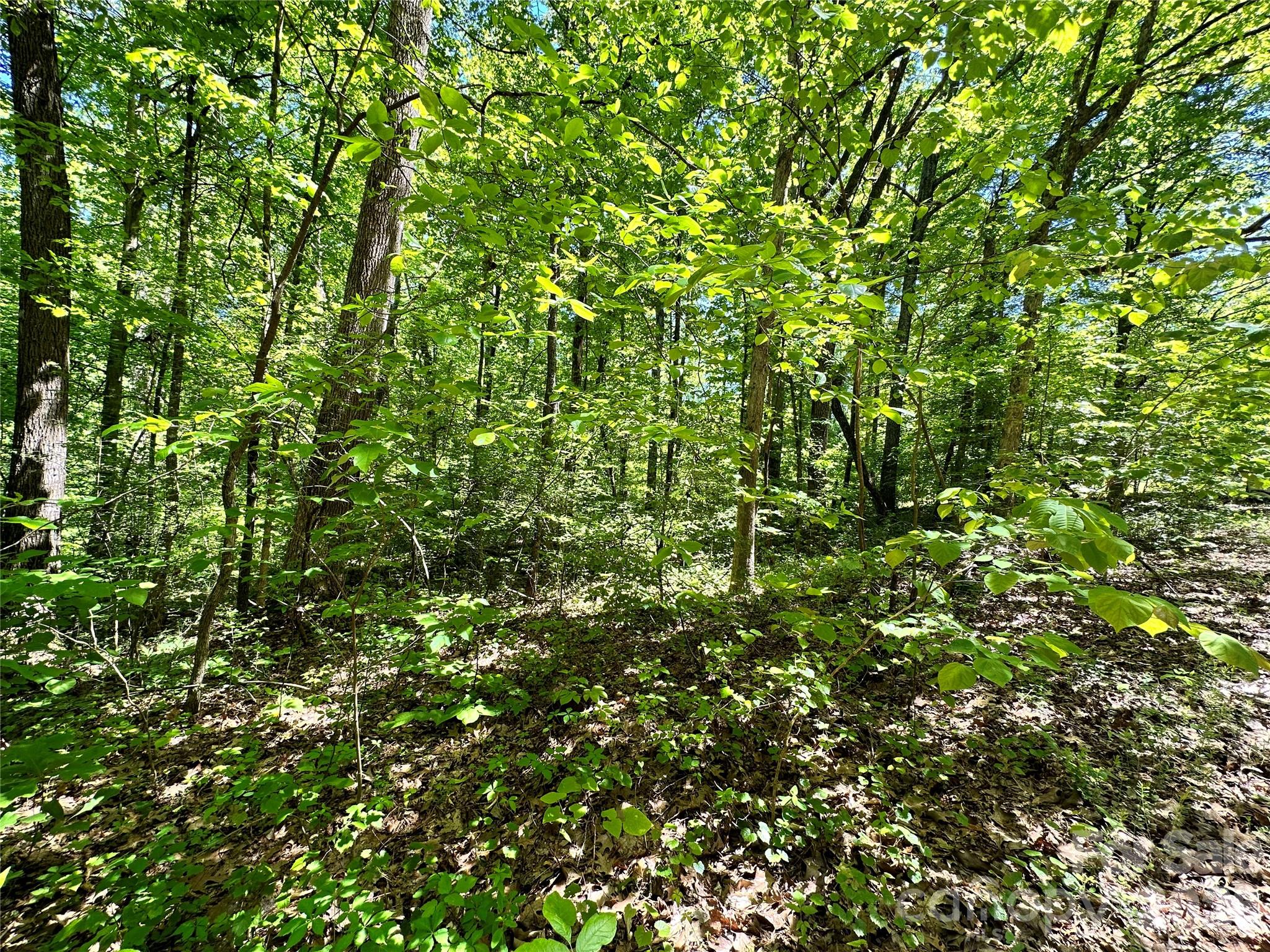 #168 Rolling Road Property Photo 13