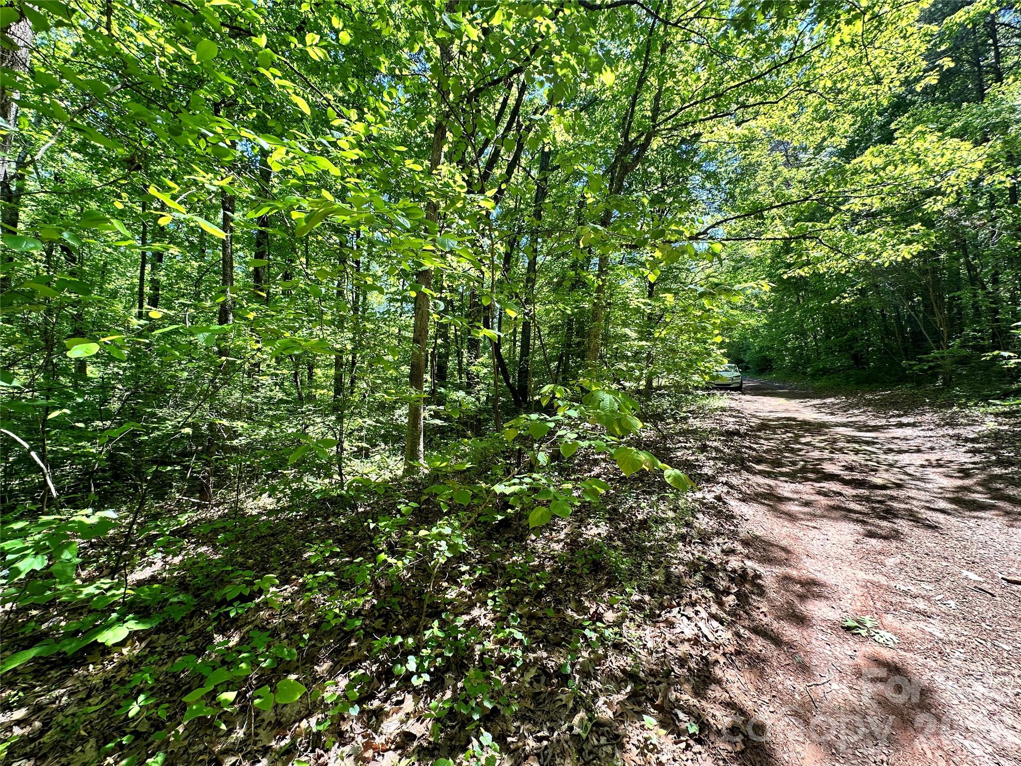 #168 Rolling Road Property Photo 14