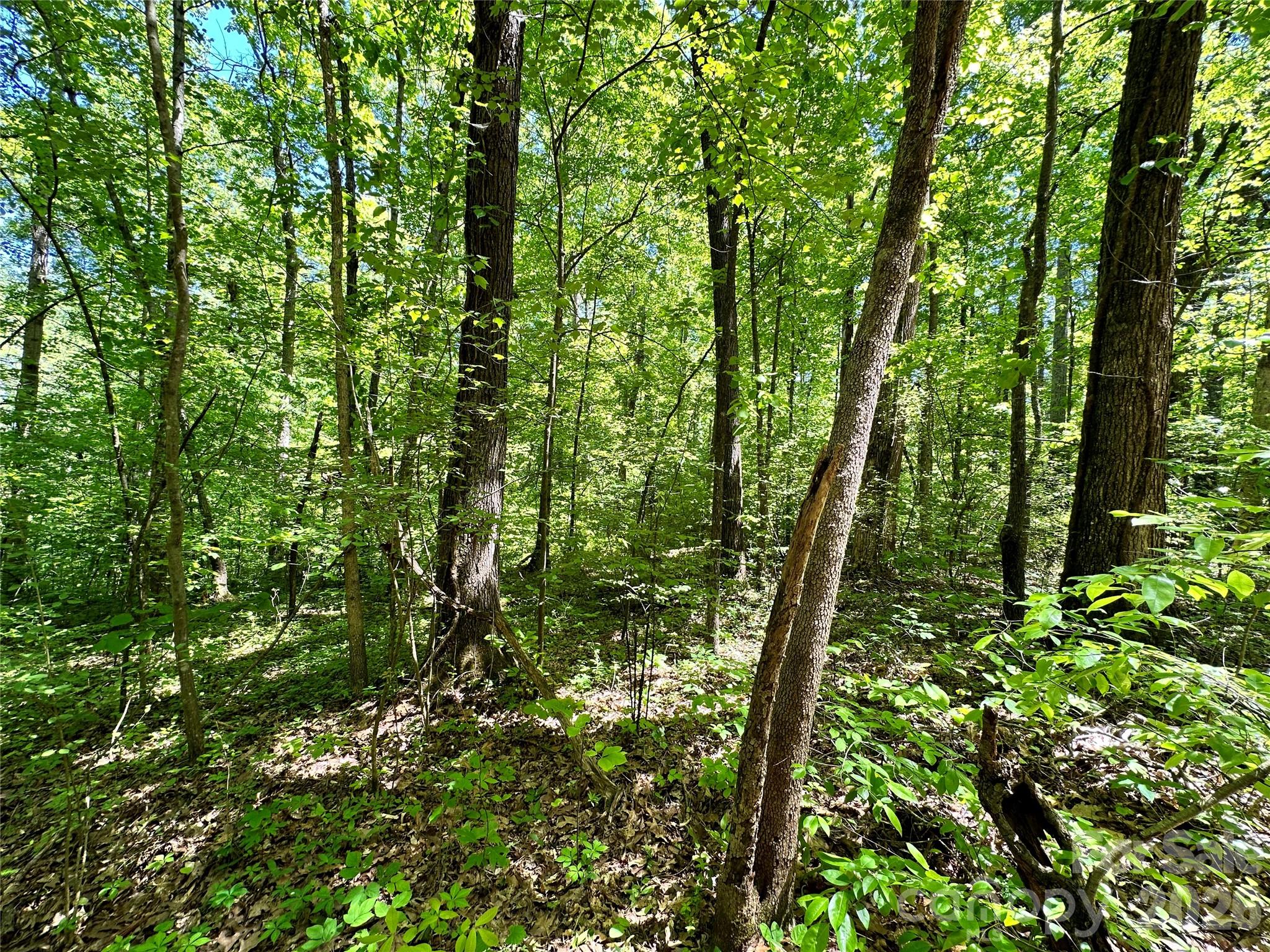 #168 Rolling Road Property Photo 15